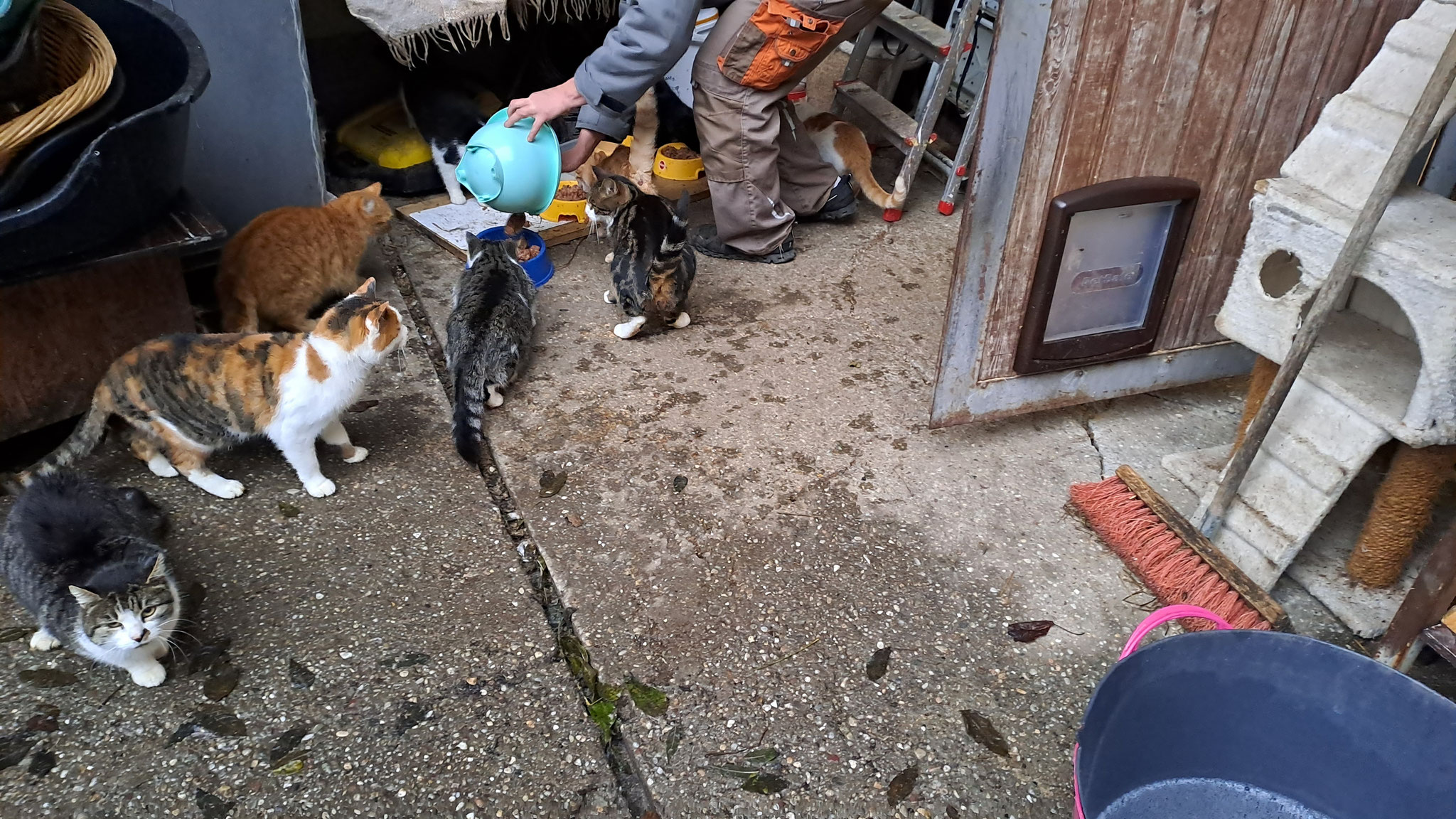 Und die ängstlichen von uns ernährt! 