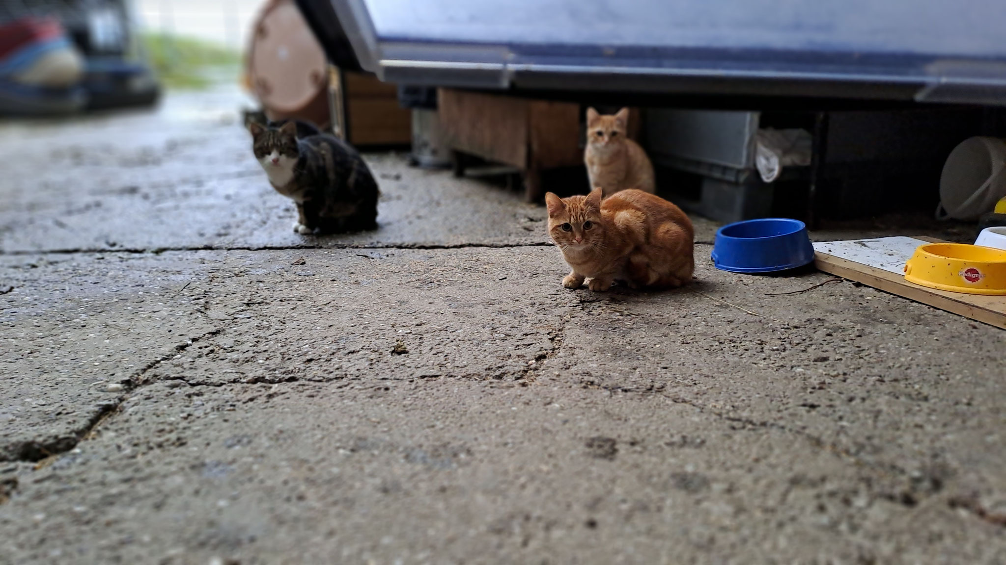 A Handy!!! Und des fotografiert uns!!!