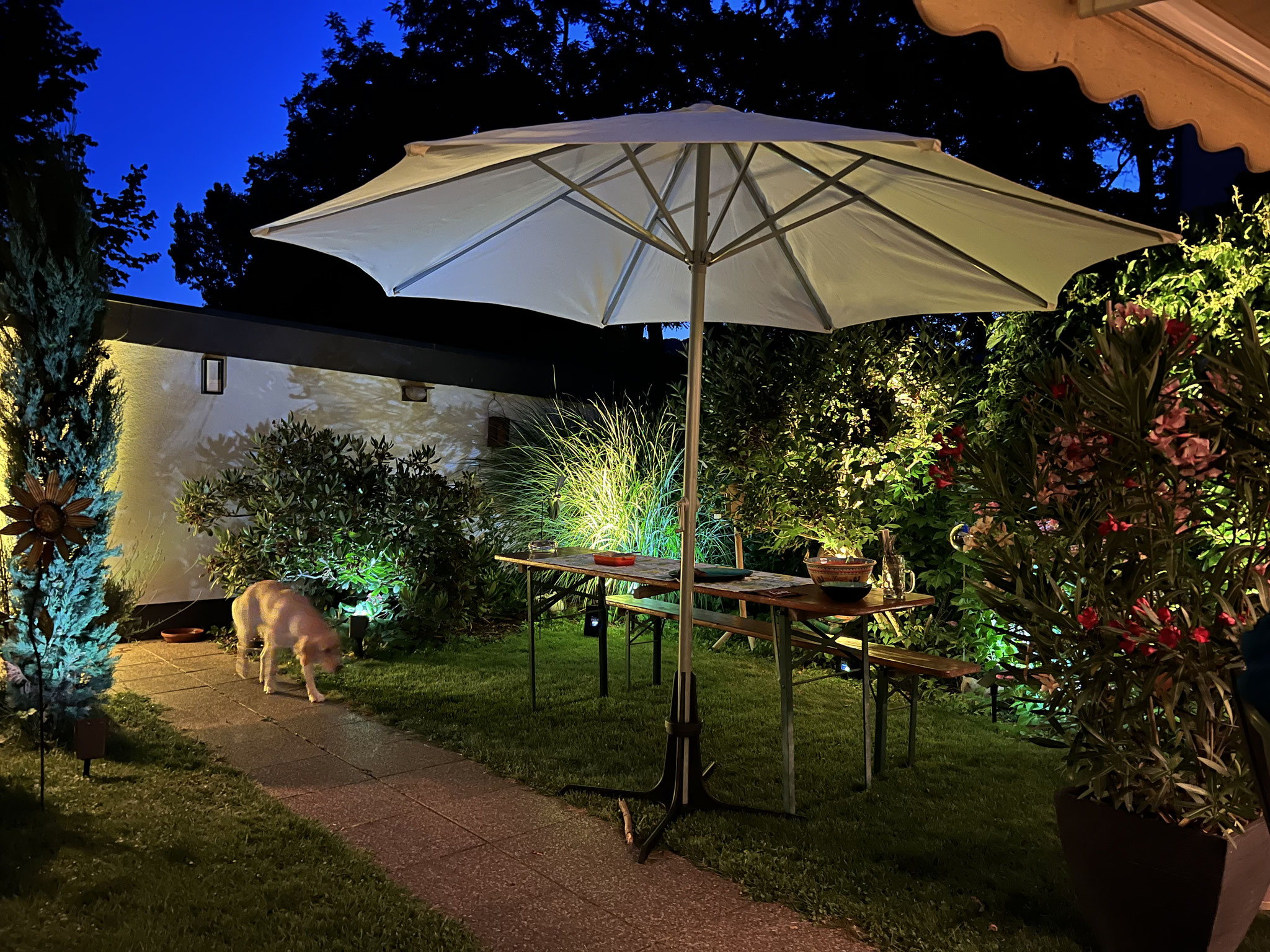 Ambientebeleuchtung für eine Gartenparty