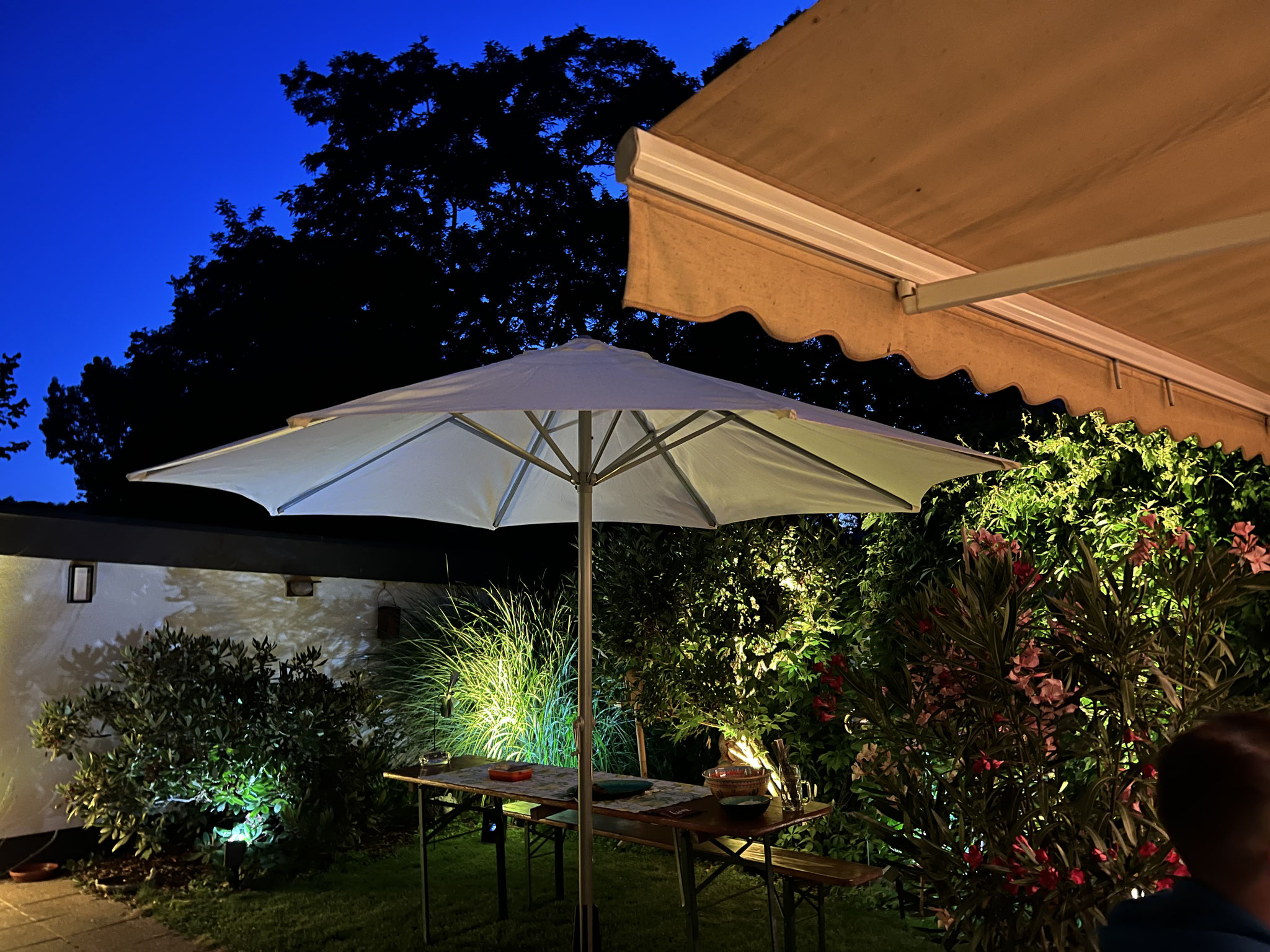 Ambientebeleuchtung für eine Gartenparty
