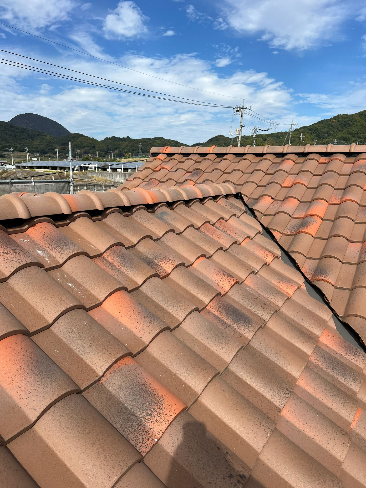 洋風陶器瓦