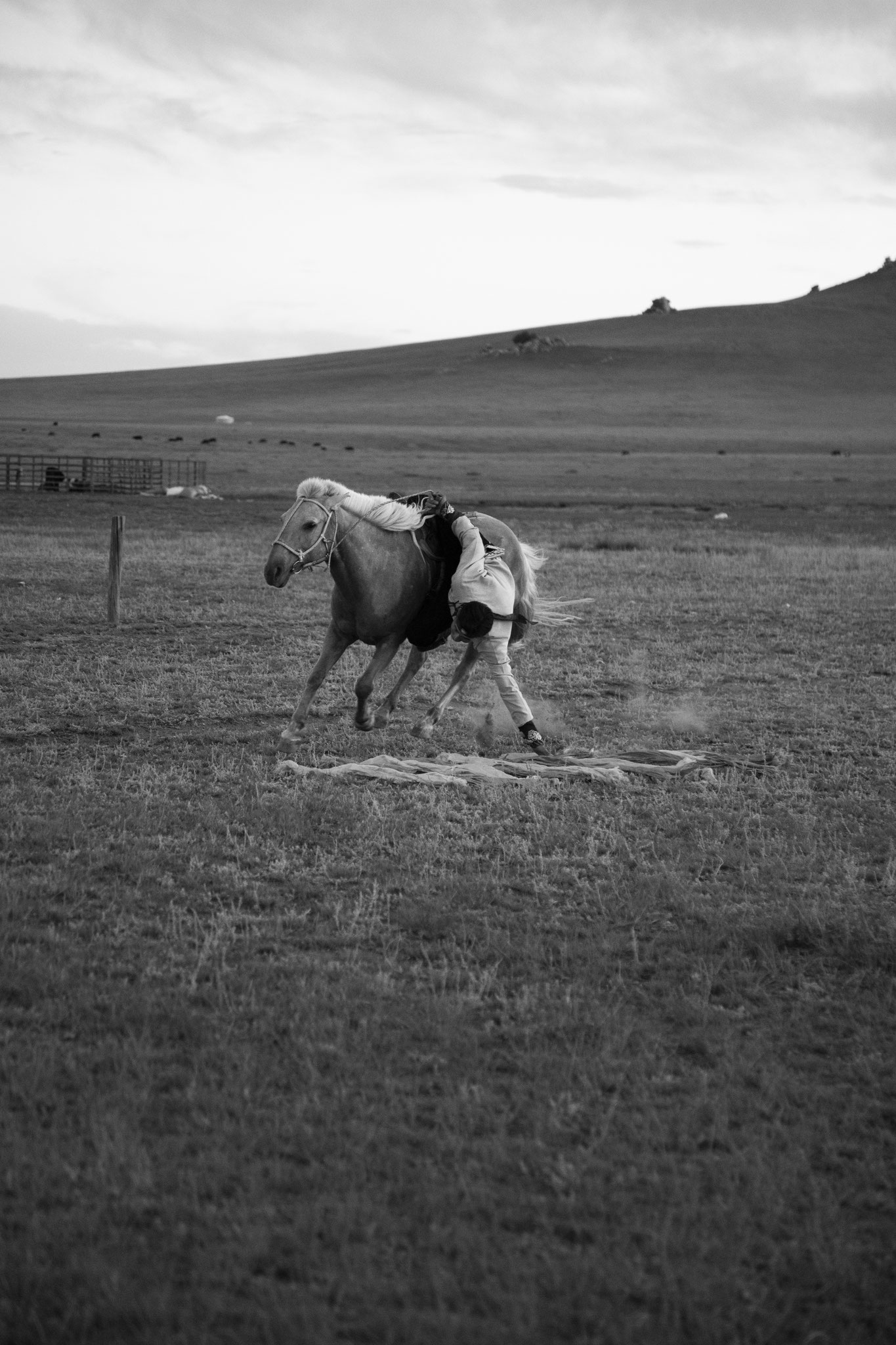 "Take away rider" - Mijiddorj. Province de Bulgan, Mongolie (2025). © Clémence Rougetet