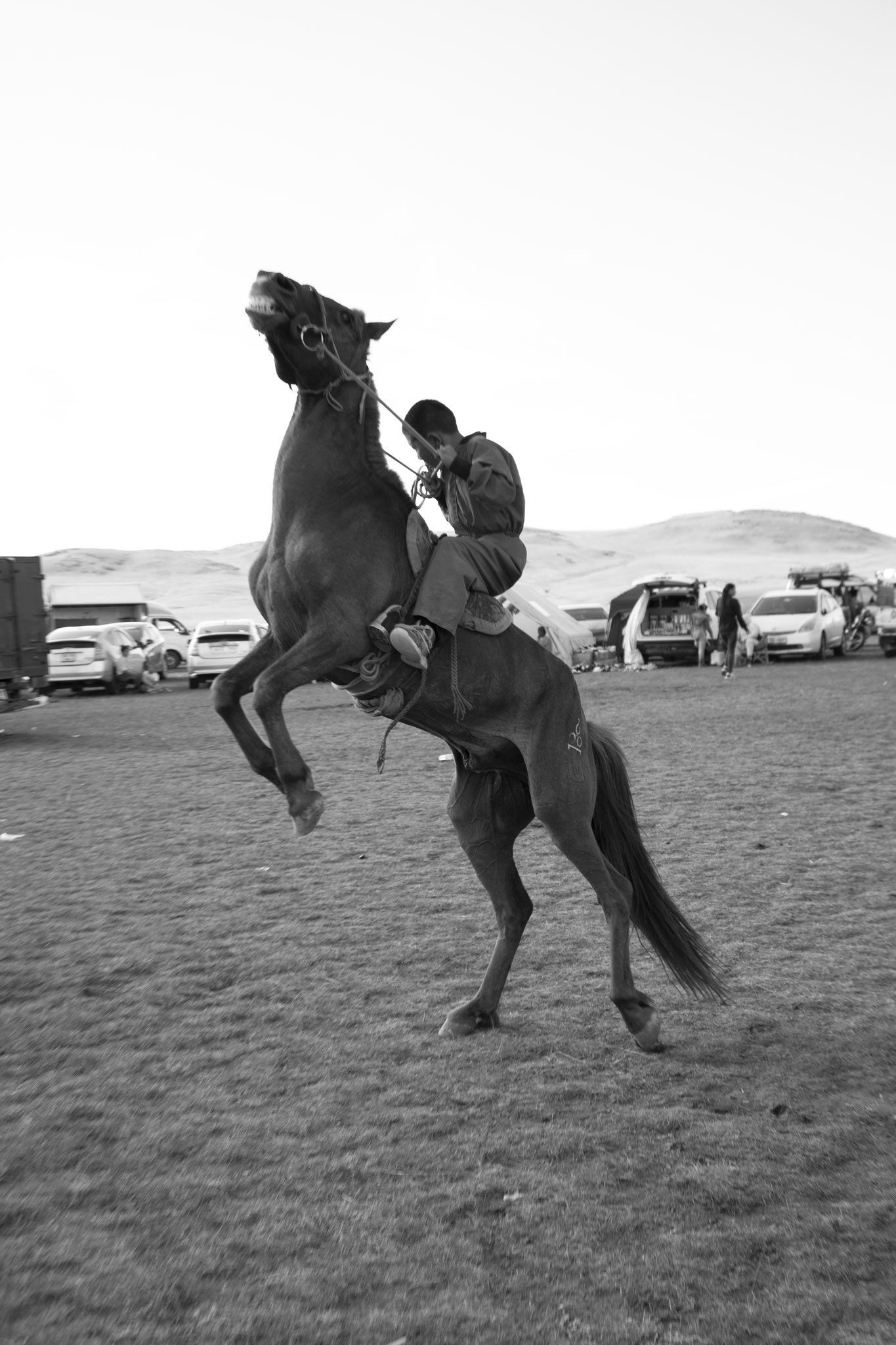 "Higher rider" - Fête du Naadam. Province d’Uvur Khangai, Mongolie (2025). © Clémence Rougetet