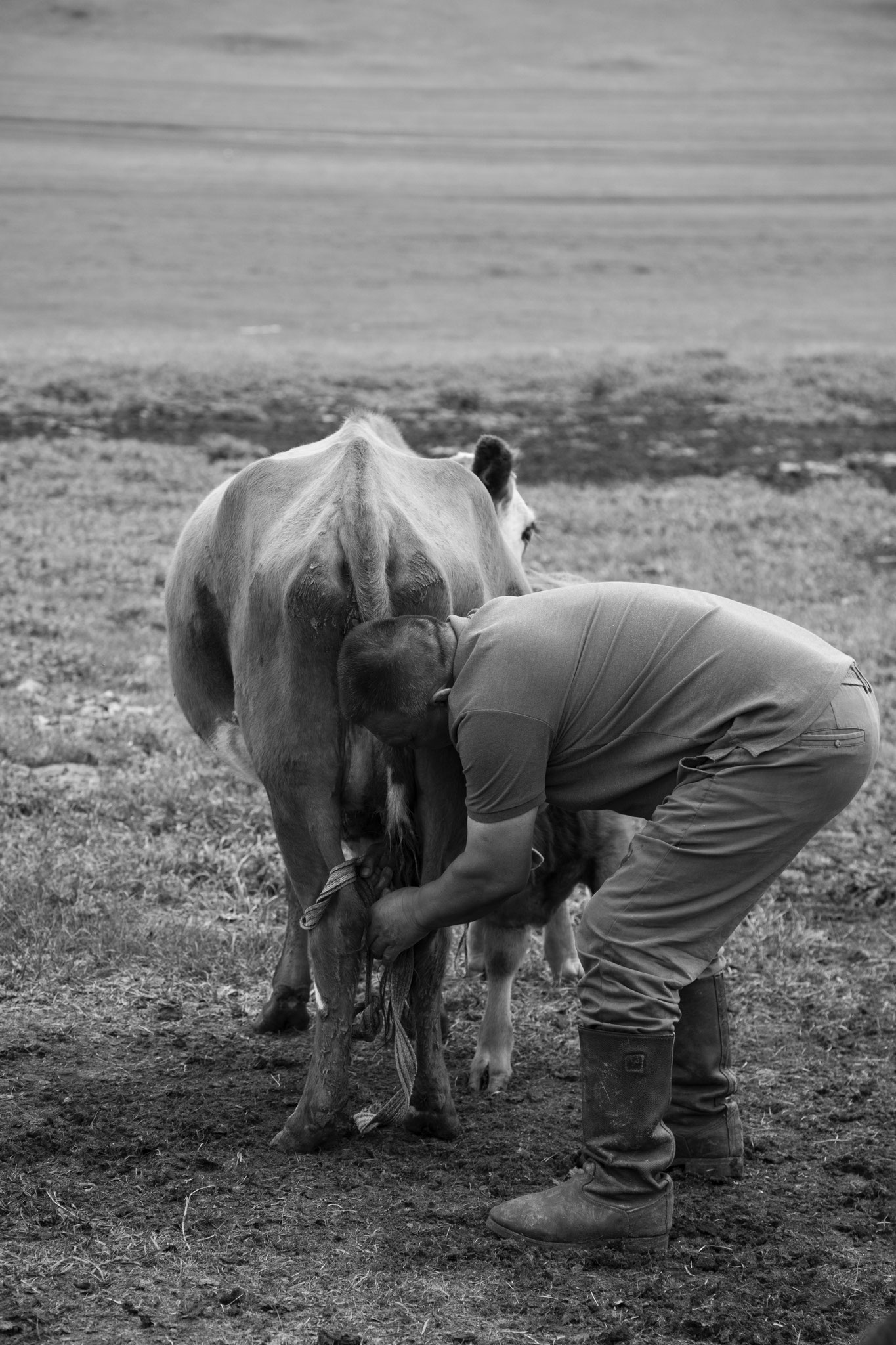 "End of the work" - Lkhagvasuren. Province d’Övörkhangay, Mongolie (2025). © Clémence Rougetet