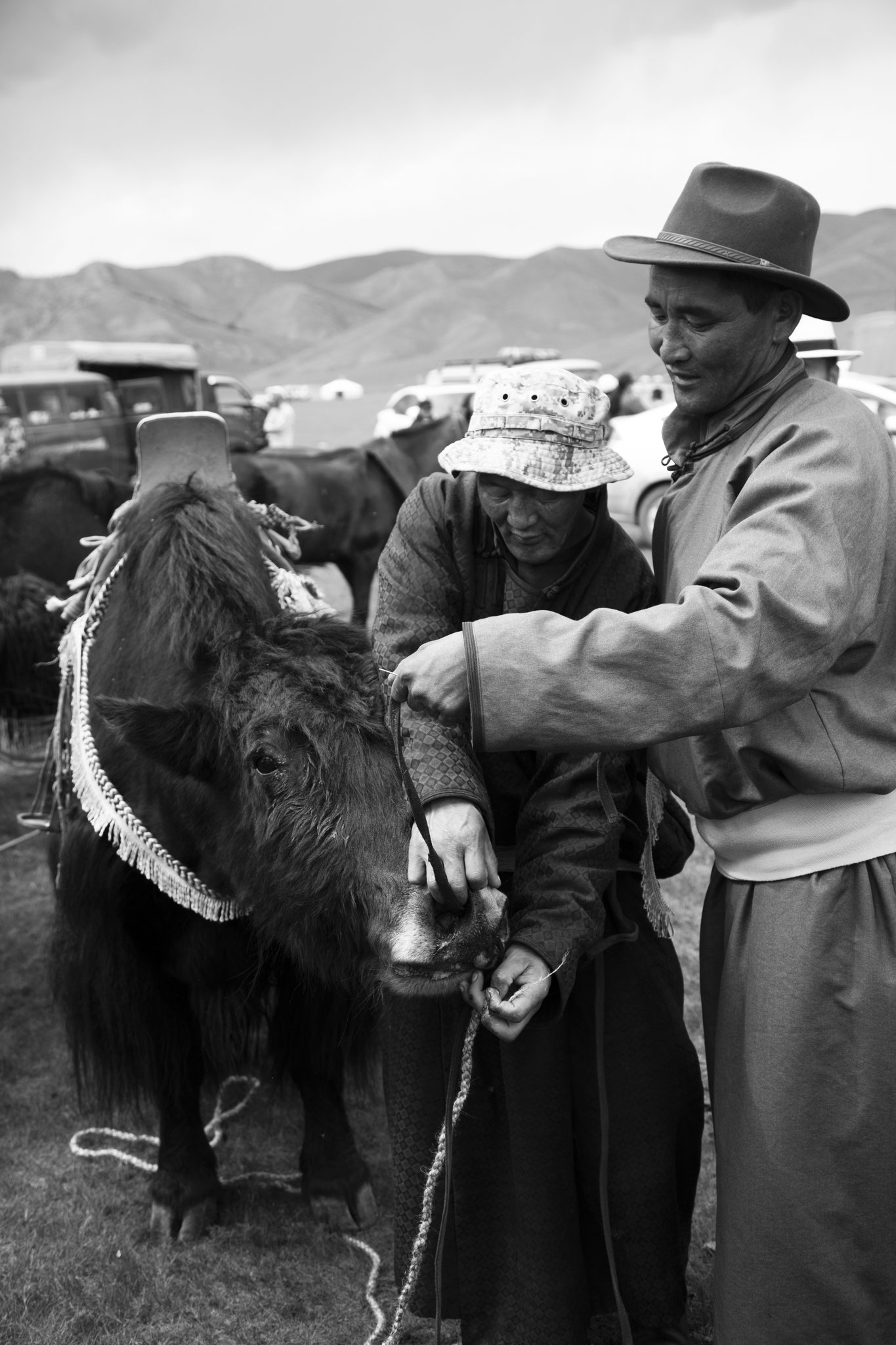 "Just put a ring" - Fête du Yack. Vallée de l’Orkhon, Mongolie (2025). © Clémence Rougetet