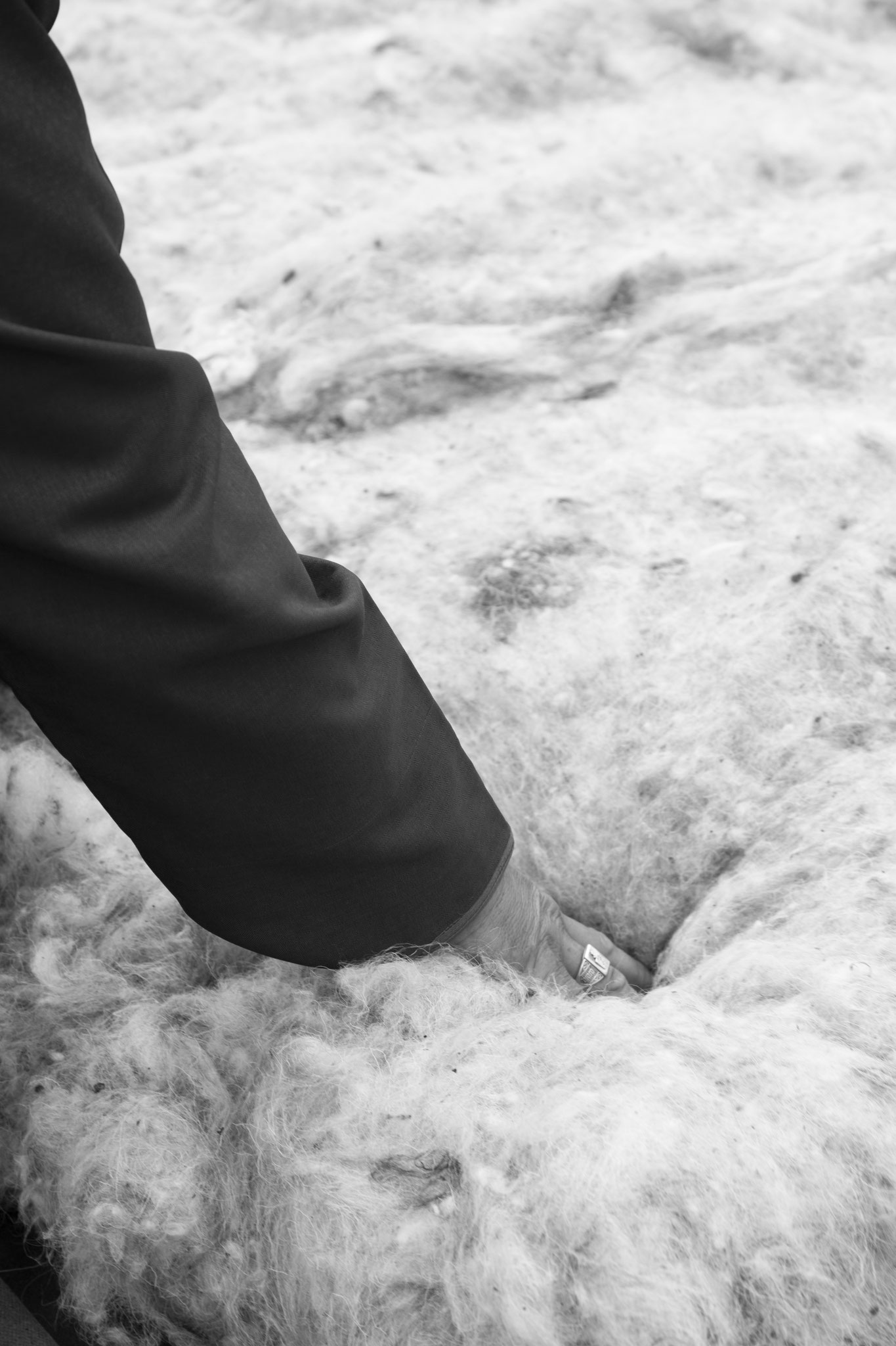 "Felt touch" - Fête du Feutre. Province d’Övörkhangay, Mongolie (2025). © Clémence Rougetet