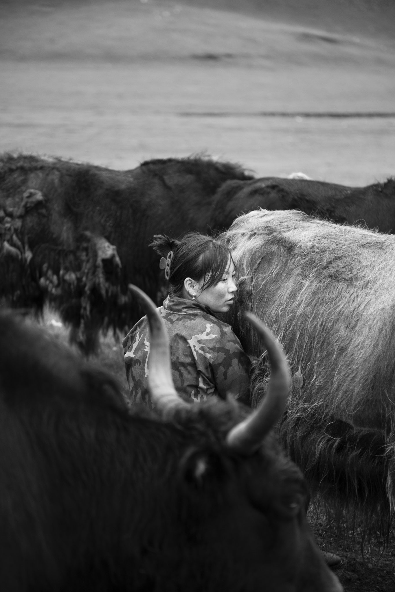 "Nature for workspace" - Lkhagvadulam. Vallée de l’Orkhon, Mongolie (2025). © Clémence Rougetet