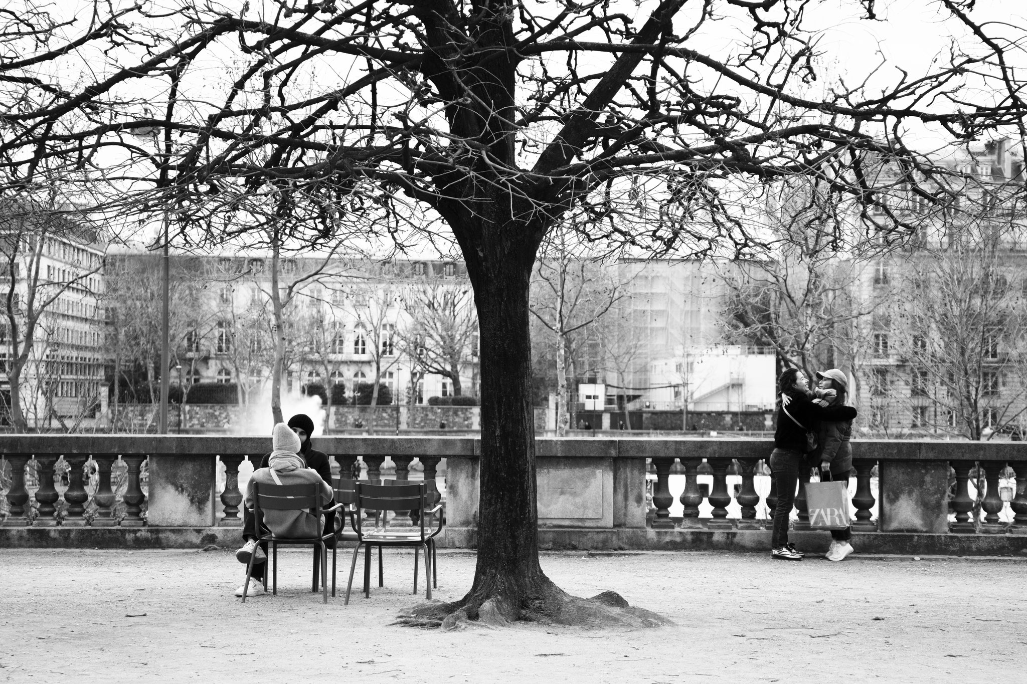 "The link tree" - Jardin des Tuileries, Paris (2023). © Clémence Rougetet