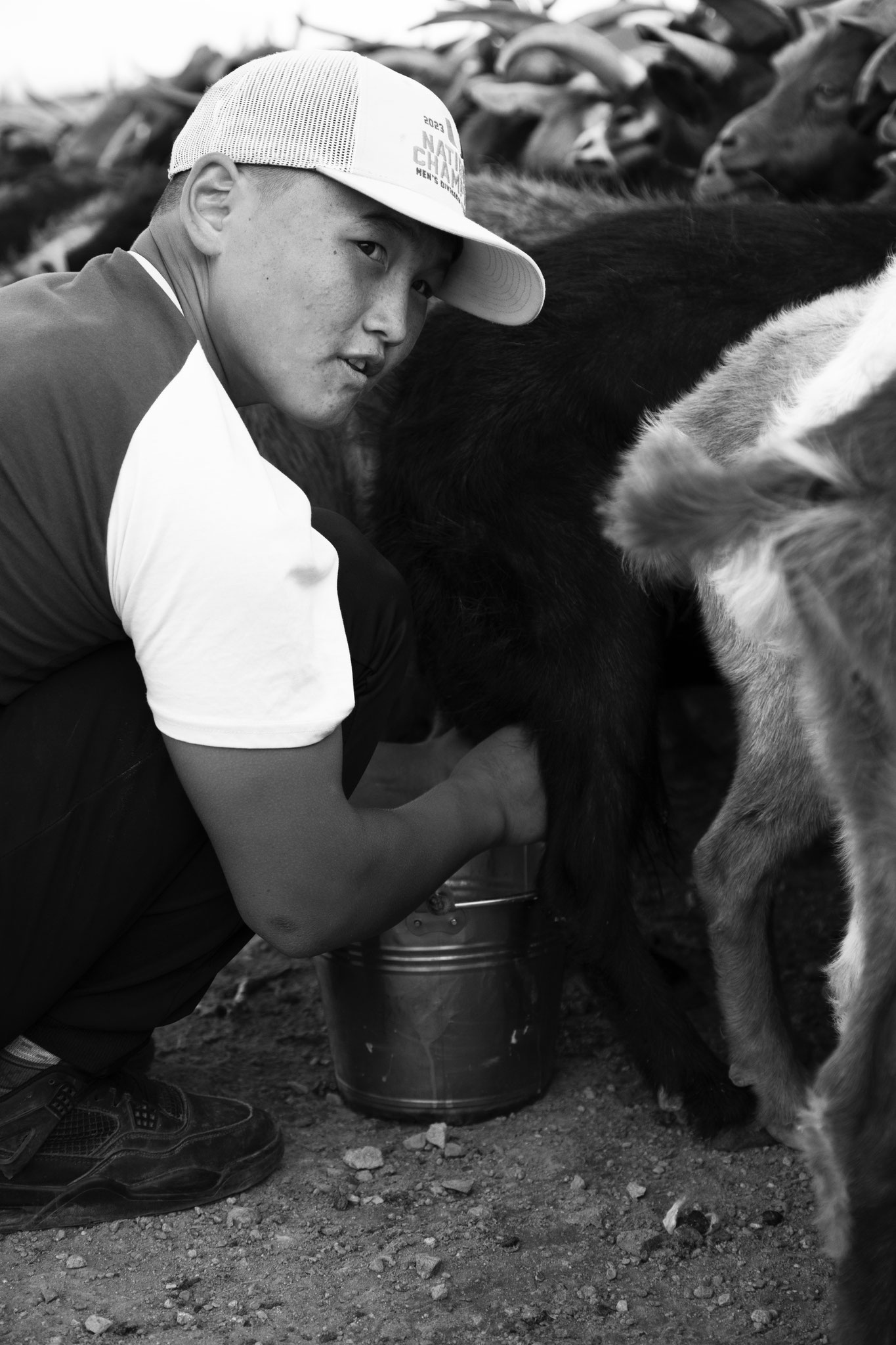 "Milk time" - Molom, fils aîné de Bold. Mongolie (2025). © Clémence Rougetet