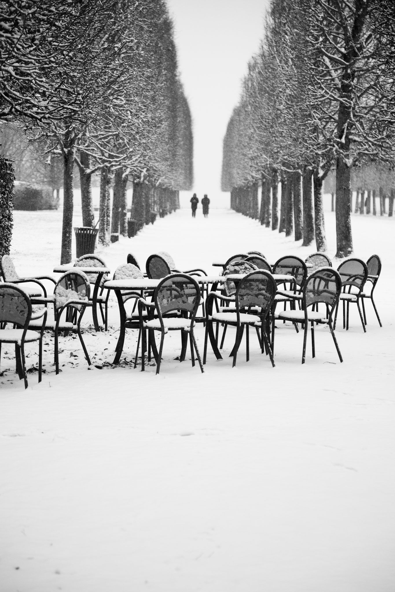 "Snow garden" - Saint-Germain-en-Laye (2026). © Clémence Rougetet