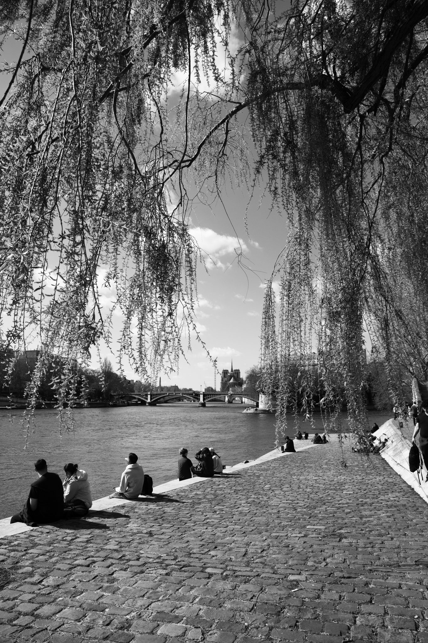 "Spring for frame" - Paris (2025). © Clémence Rougetet