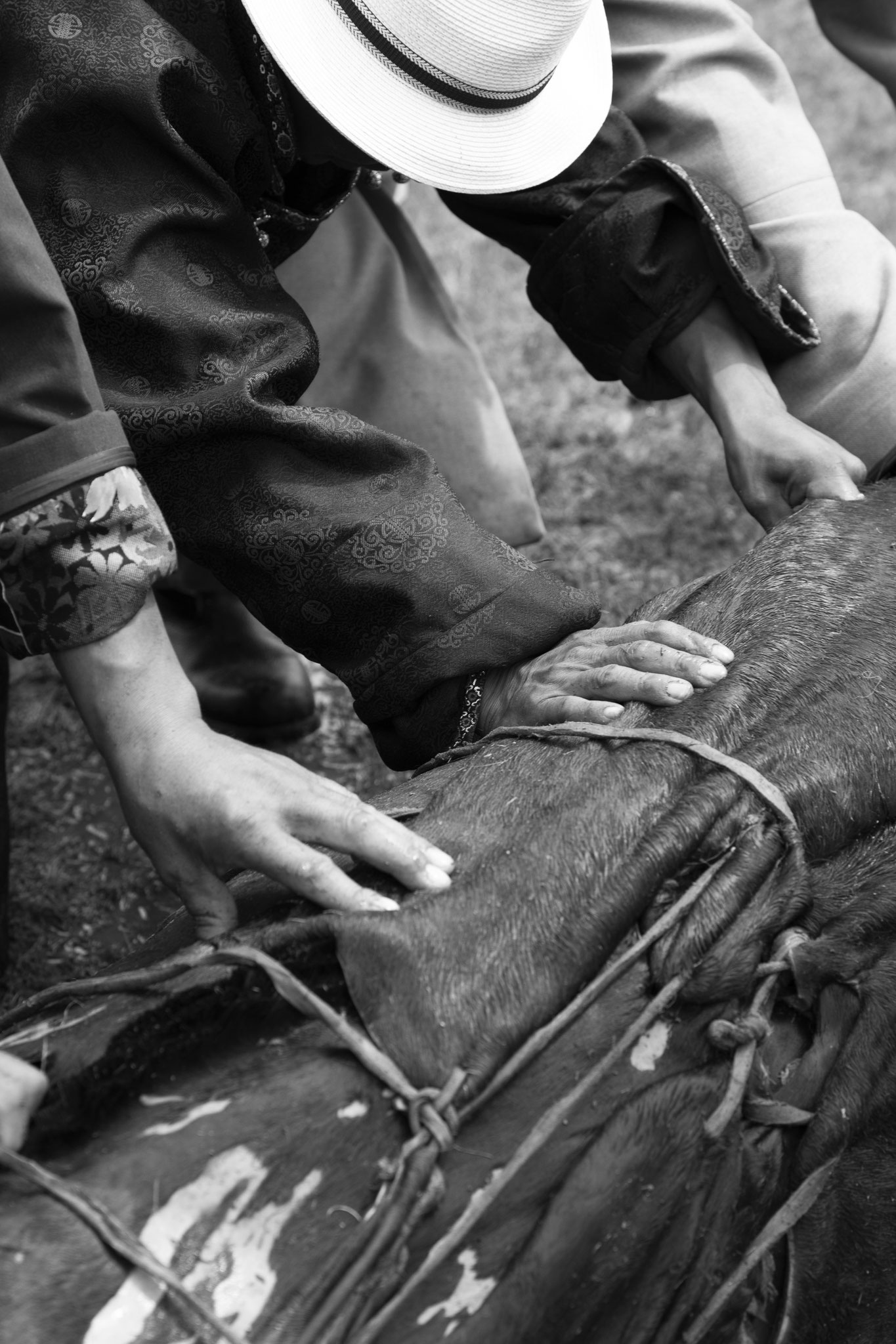 "Hands perspective" - Fête du Feutre. Province d’Övörkhangay, Mongolie (2025). © Clémence Rougetet
