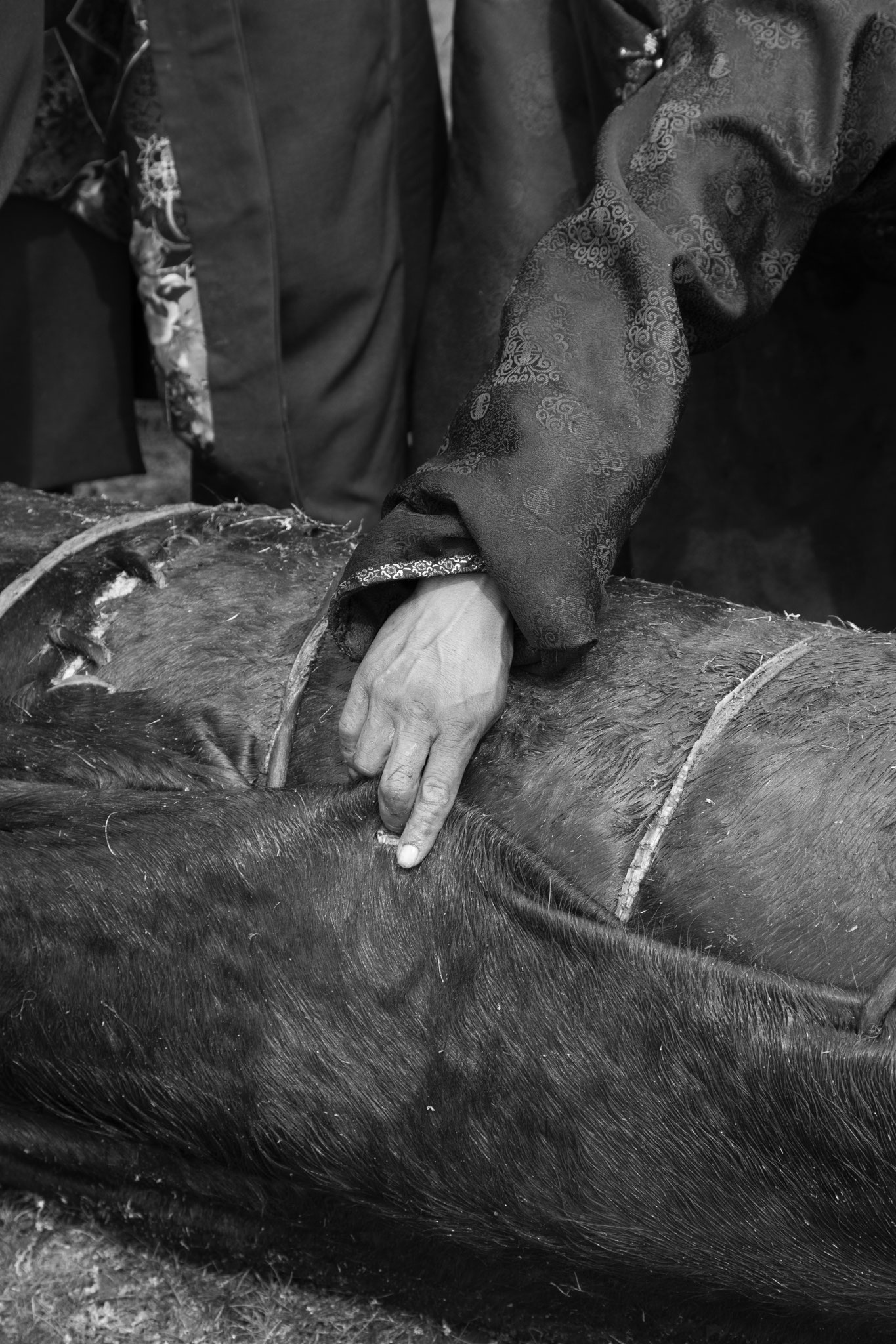 "Hand worker" - Fête du Feutre. Province d’Övörkhangay, Mongolie (2025). © Clémence Rougetet