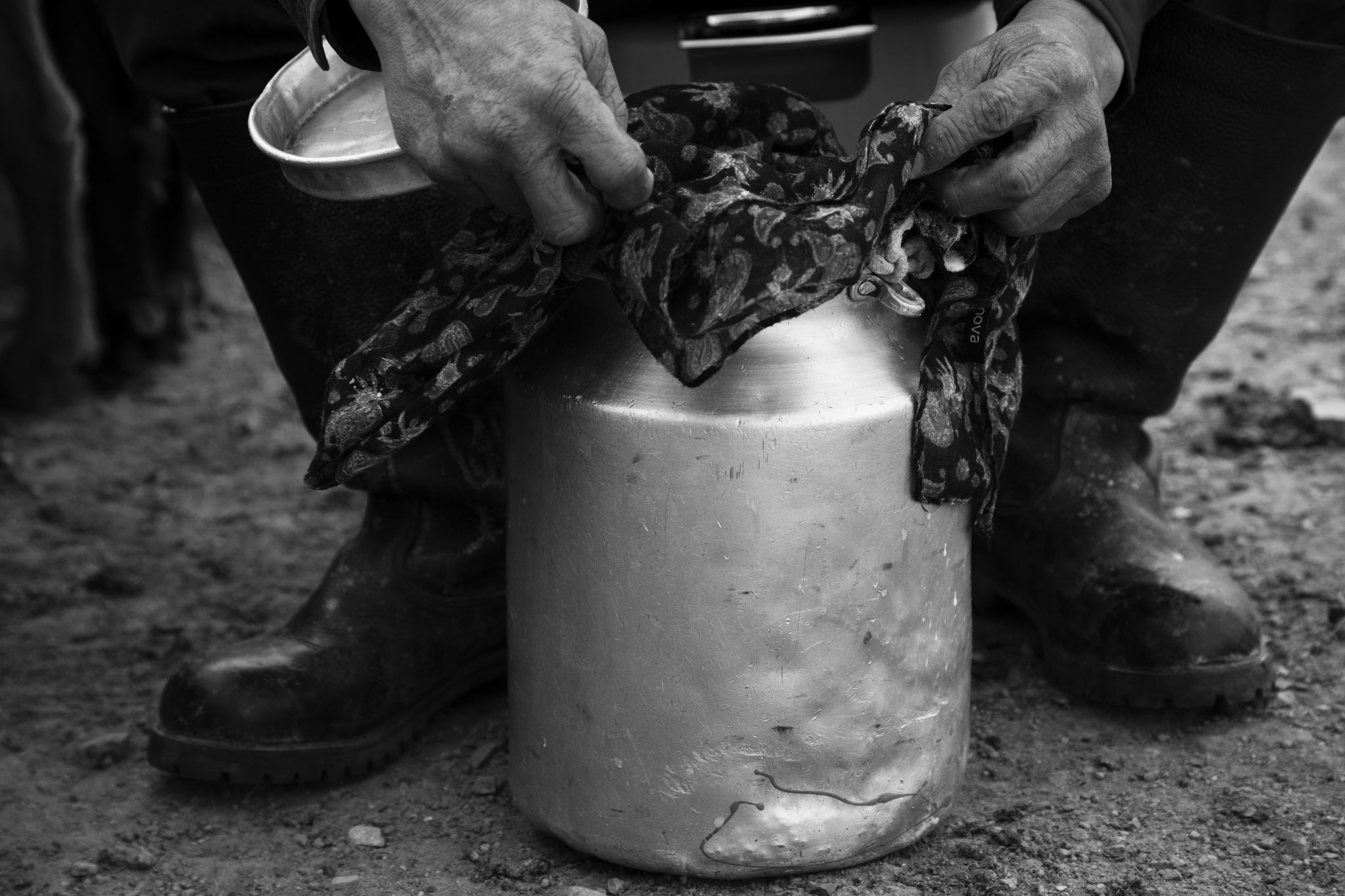 "Milk working" - Bold, Mongolie (2025). © Clémence Rougetet