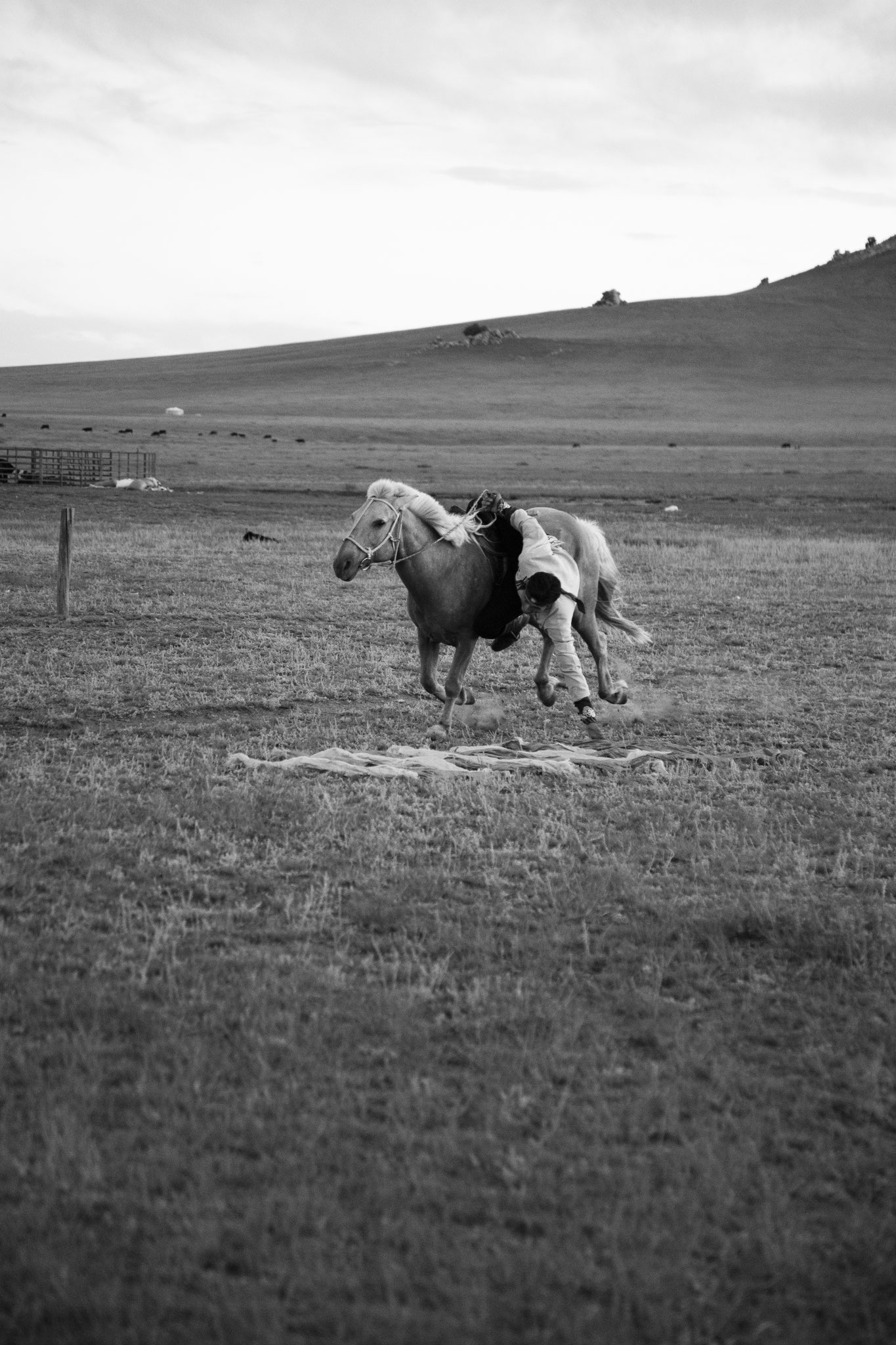  "Fast rider" - Mijiddorj. Province de Bulgan, Mongolie (2025). © Clémence Rougetet