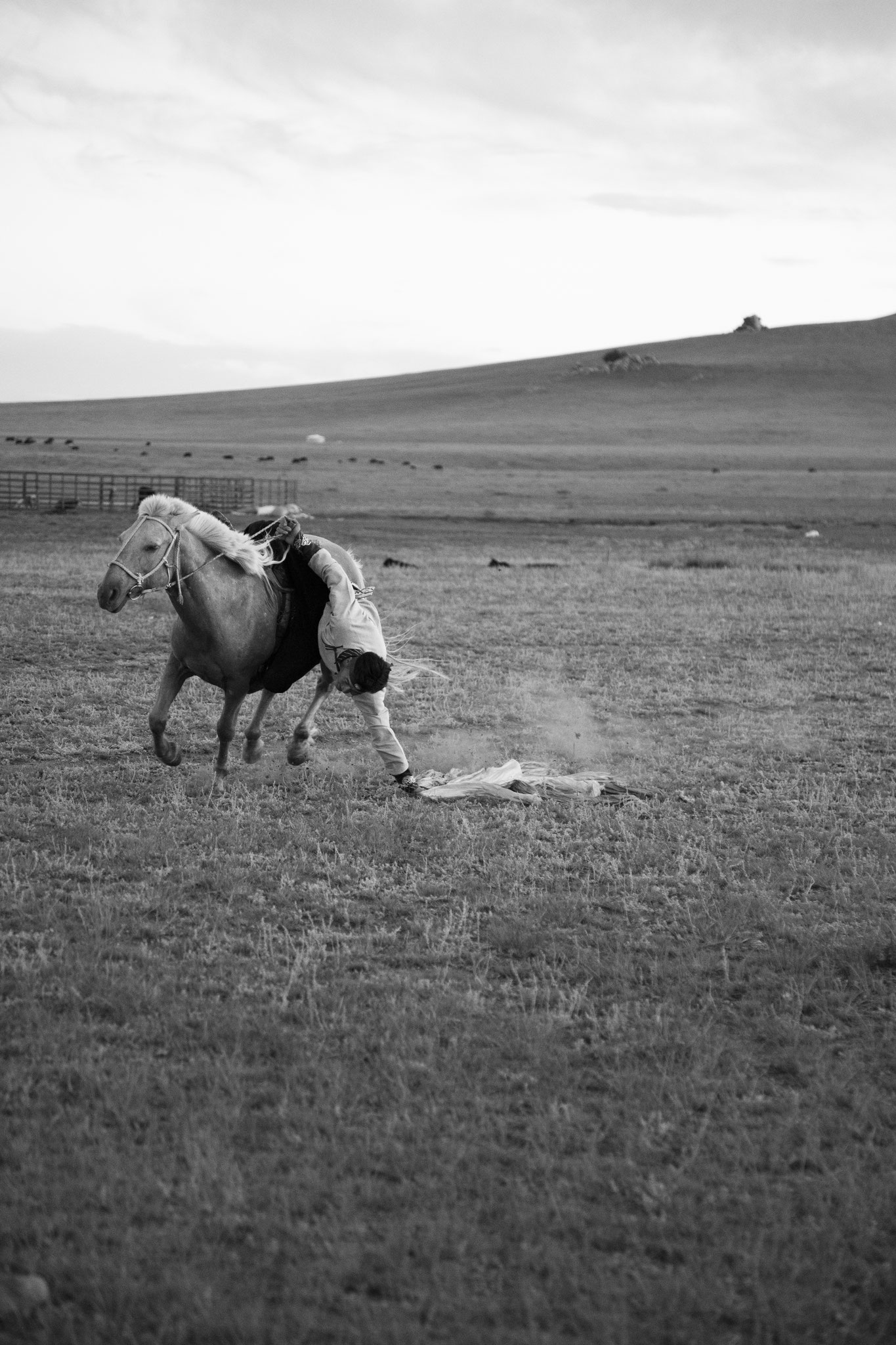 "Easy take away" - Mijiddorj. Province de Bulgan, Mongolie (2025). © Clémence Rougetet