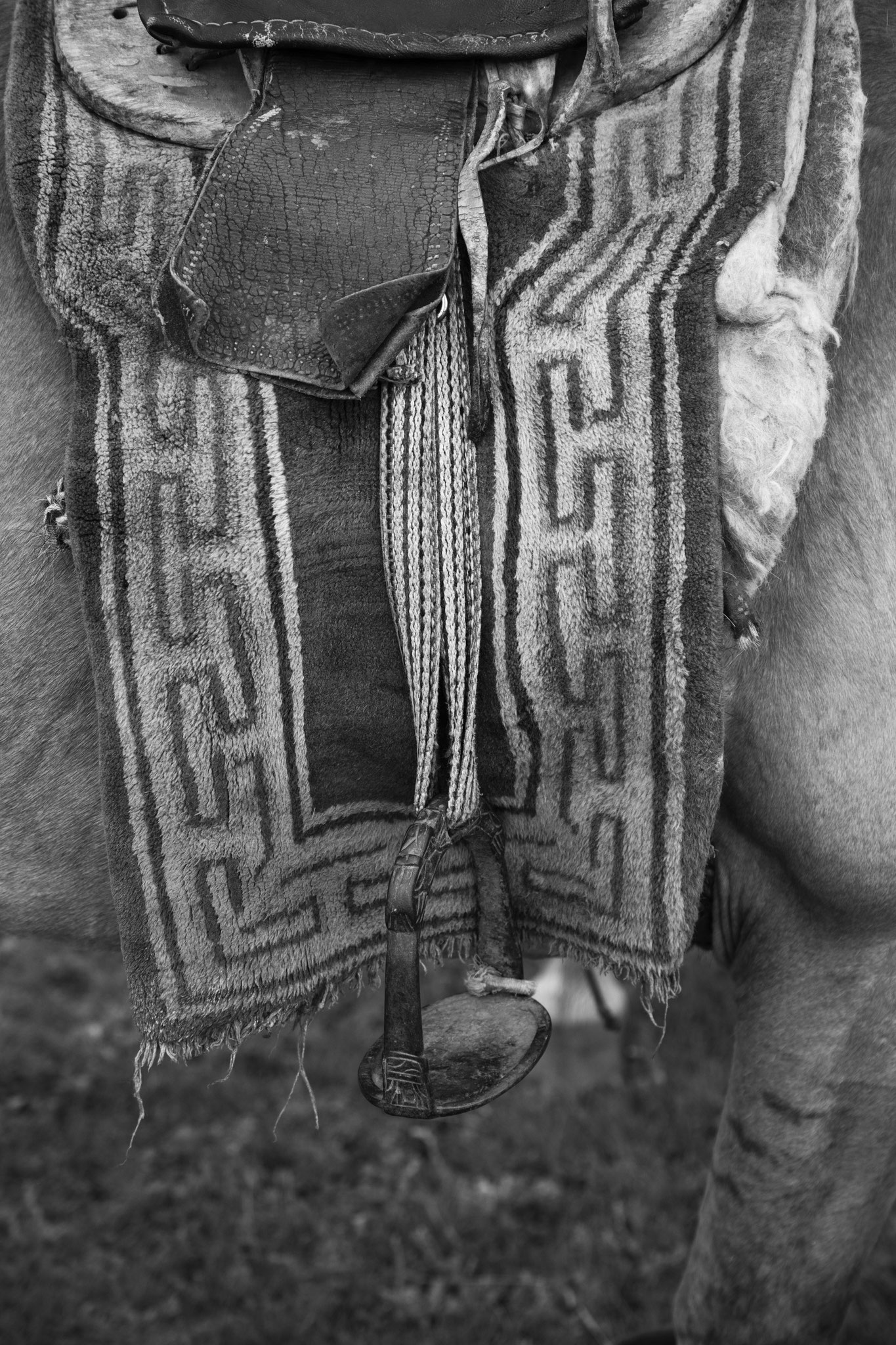 "Guardian of the foot" - Fête du Feutre. Province d’Övörkhangay, Mongolie (2025). © Clémence Rougetet