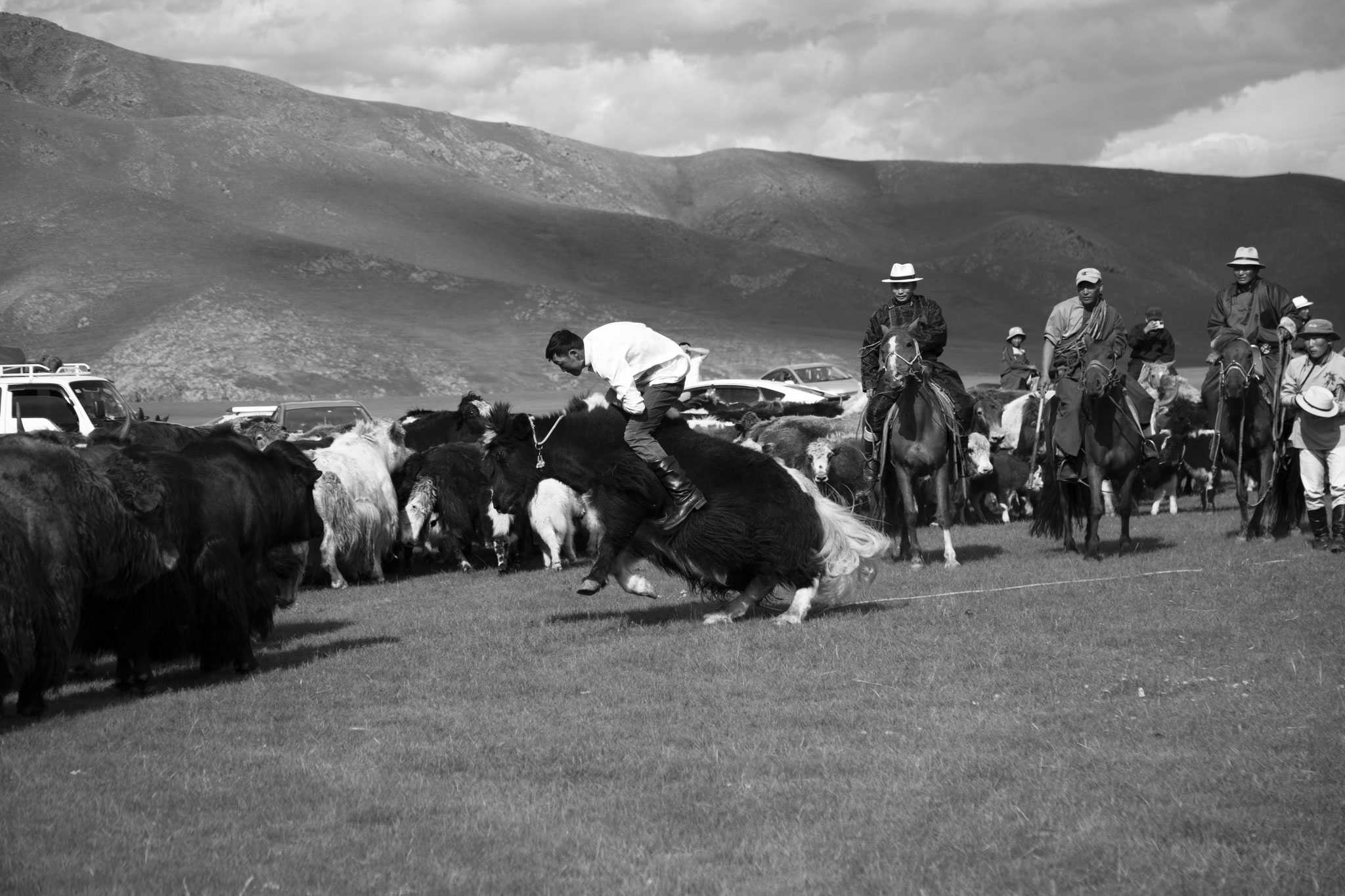 "Let’s try a ride" - Fête du yack. Vallée de l’Orkhon, Mongolie (2025). © Clémence Rougetet
