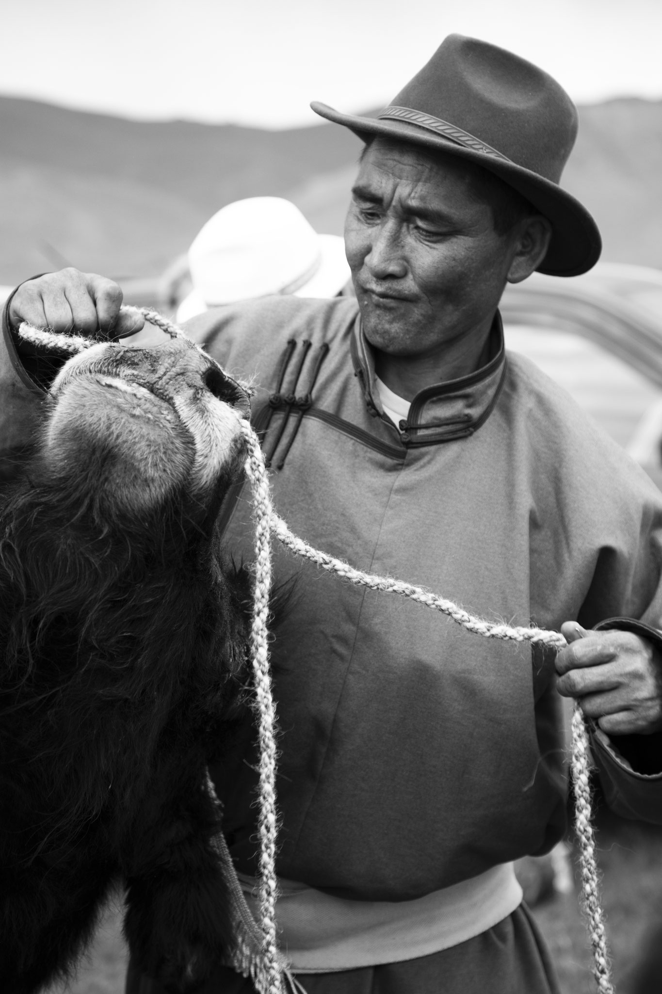 "The link of the ring"- Fête du Yack. Vallée de l’Orkhon, Mongolie (2025). © Clémence Rougetet