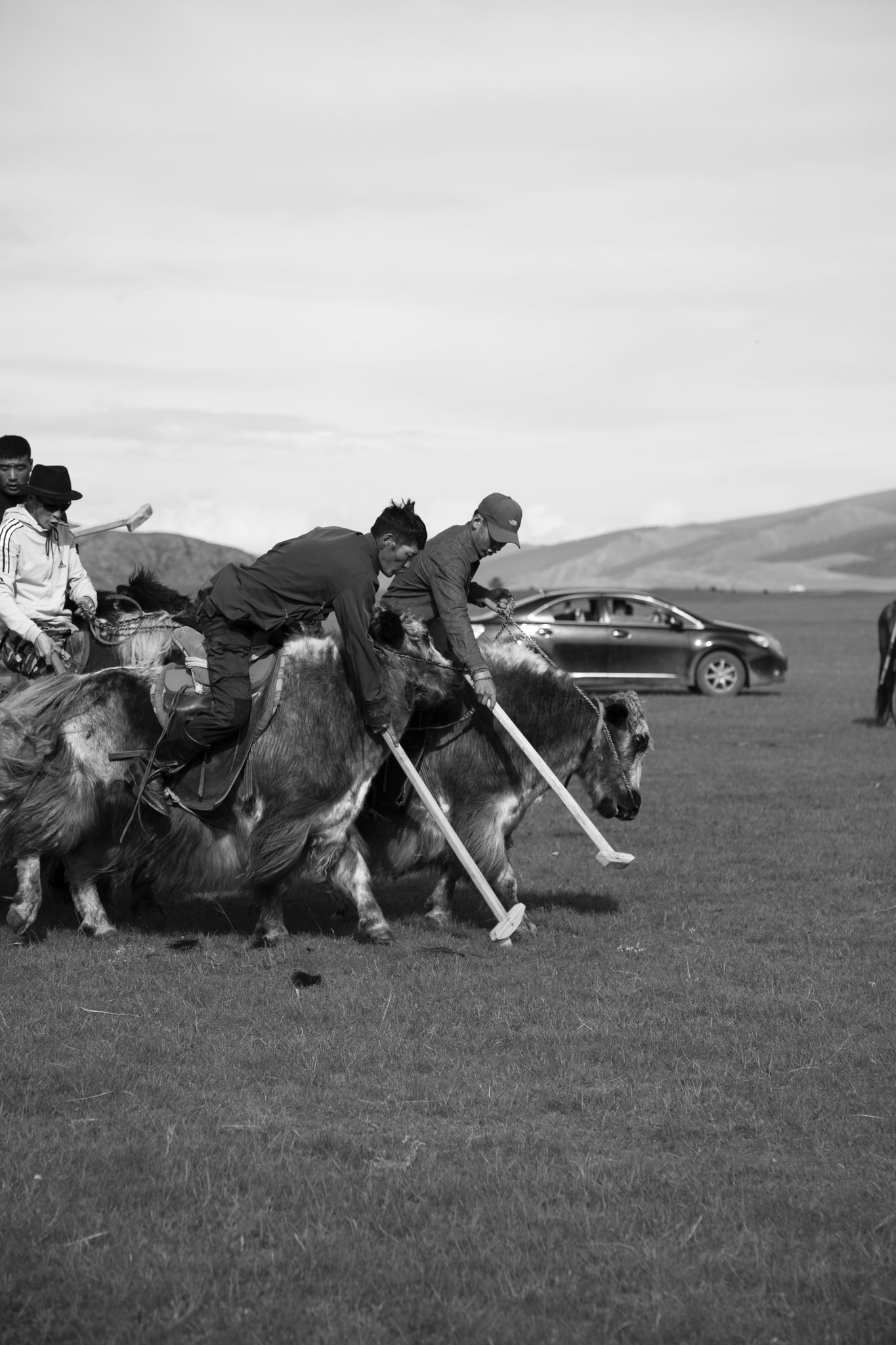"Let’s play to polo" -  Fête du yack. Vallée de l’Orkhon, Mongolie (2025). © Clémence Rougetet
