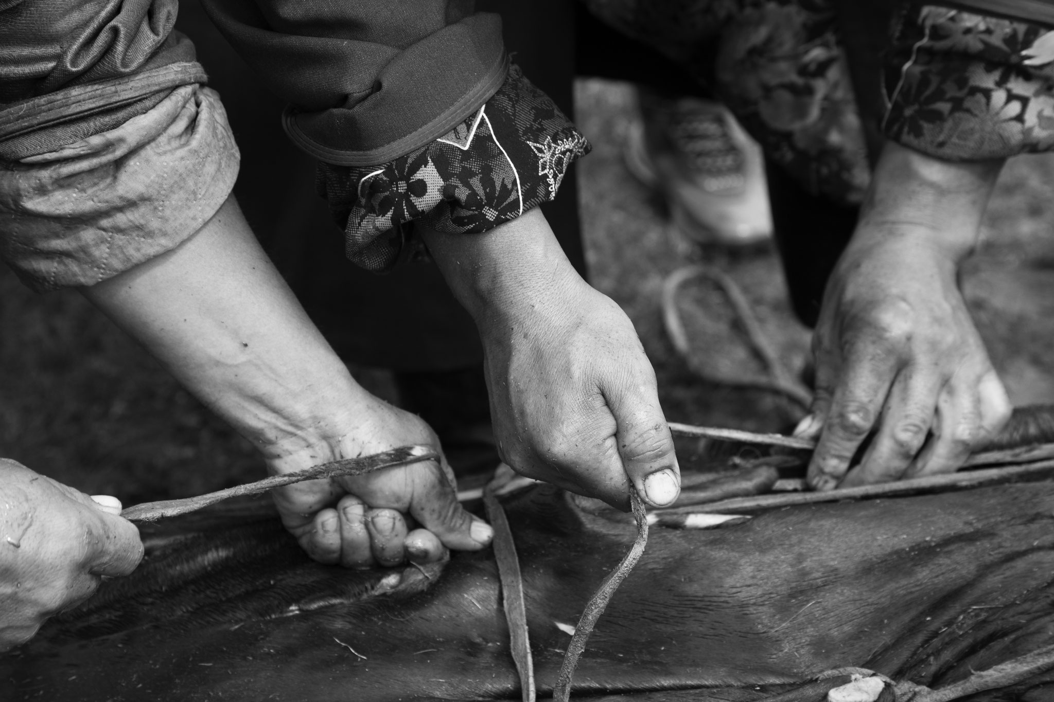 "Work together" - Fête du Feutre. Province d’Övörkhangay, Mongolie (2025). © Clémence Rougetet