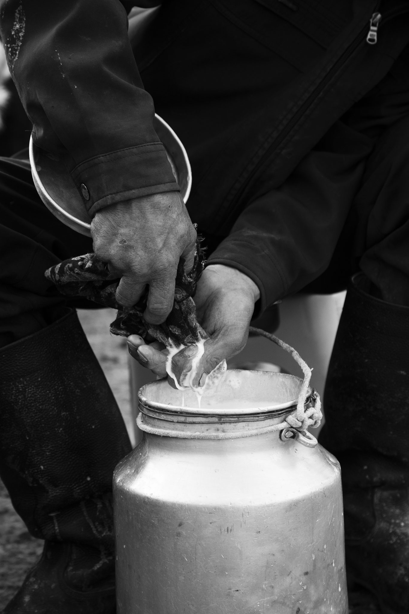 "Life in your hands" - Bold, Mongolie (2025) © Clémence Rougetet