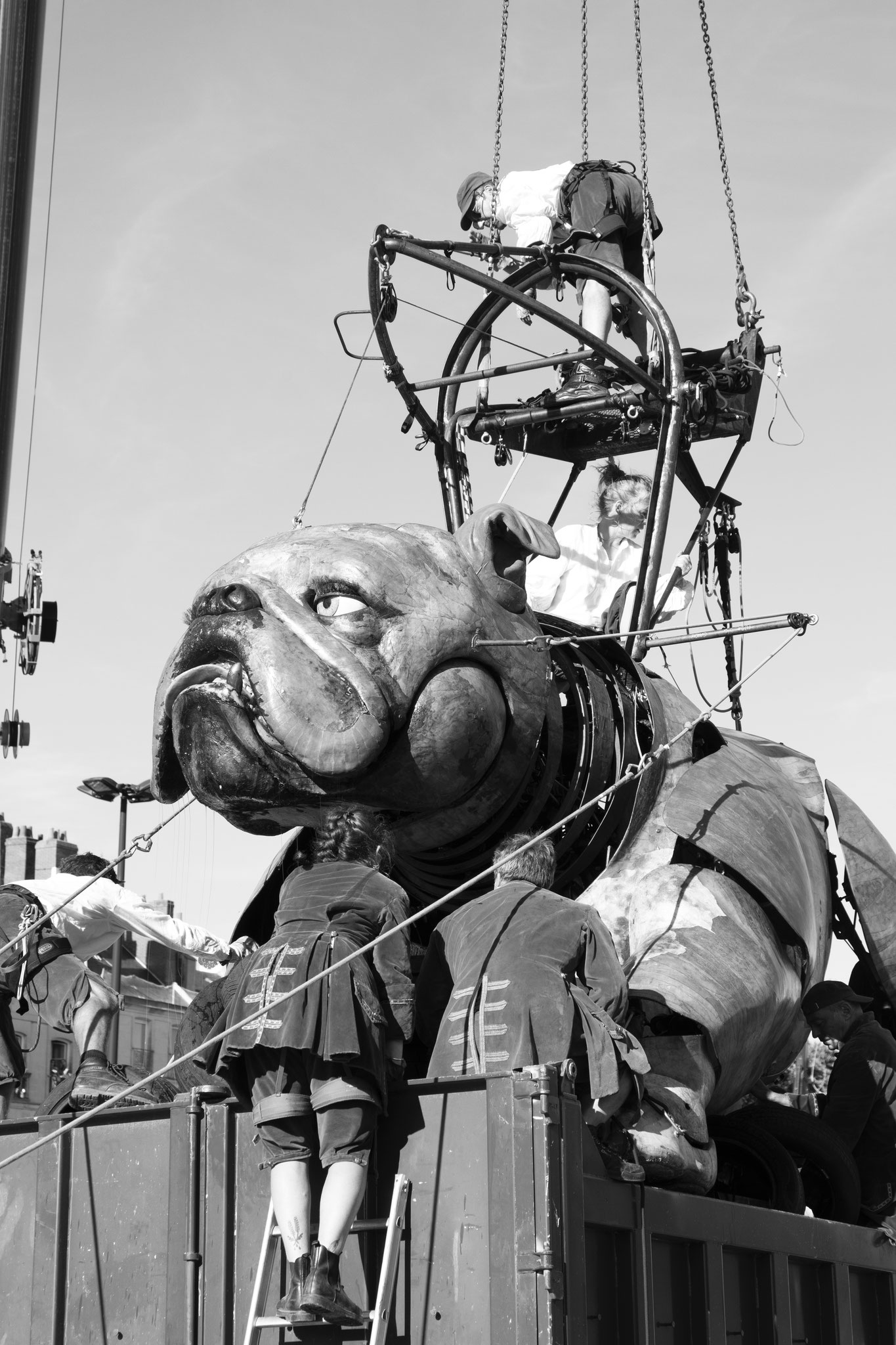 Le Bull Machin de M.Bourgogne - Royal de Luxe, Nantes (2023). © Clémence Rougetet