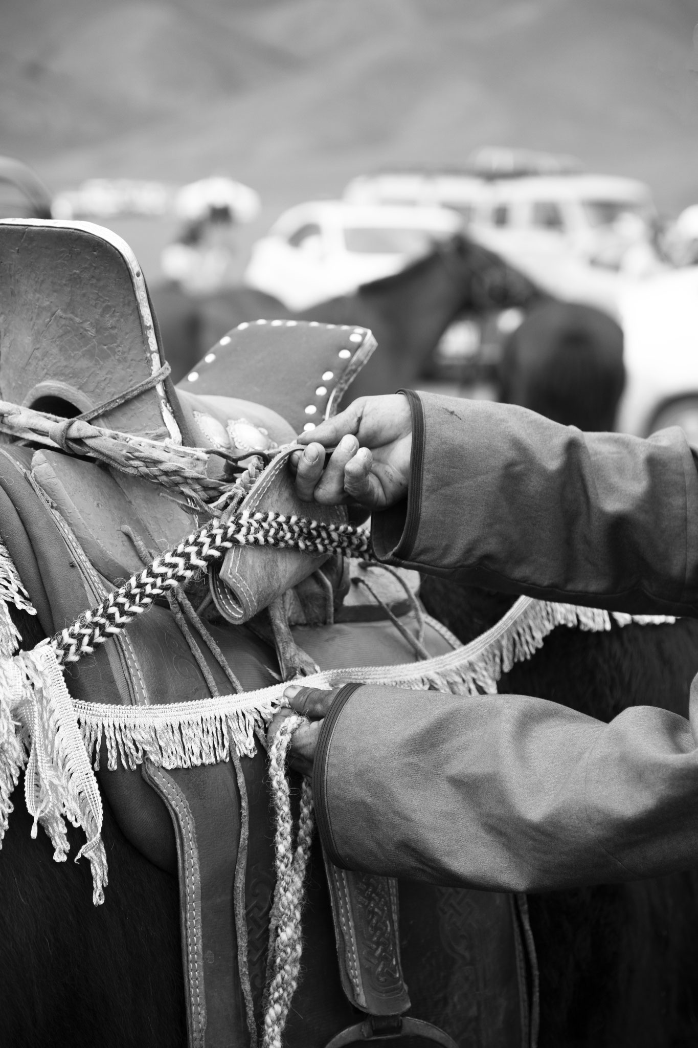 "Hands of a rider" - Fête du yack. Vallée de l’Orkhon, Mongolie (2025). © Clémence Rougetet
