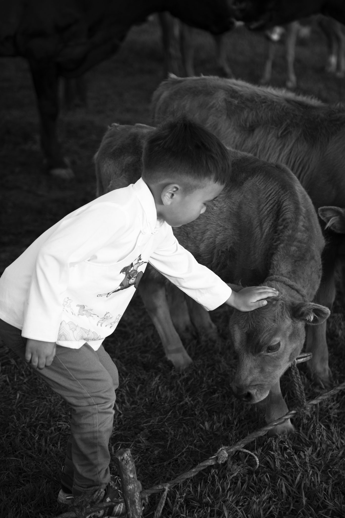 "Dont’t worry" - Duurenbaatar. Mongolie (2025) © Clémence Rougetet