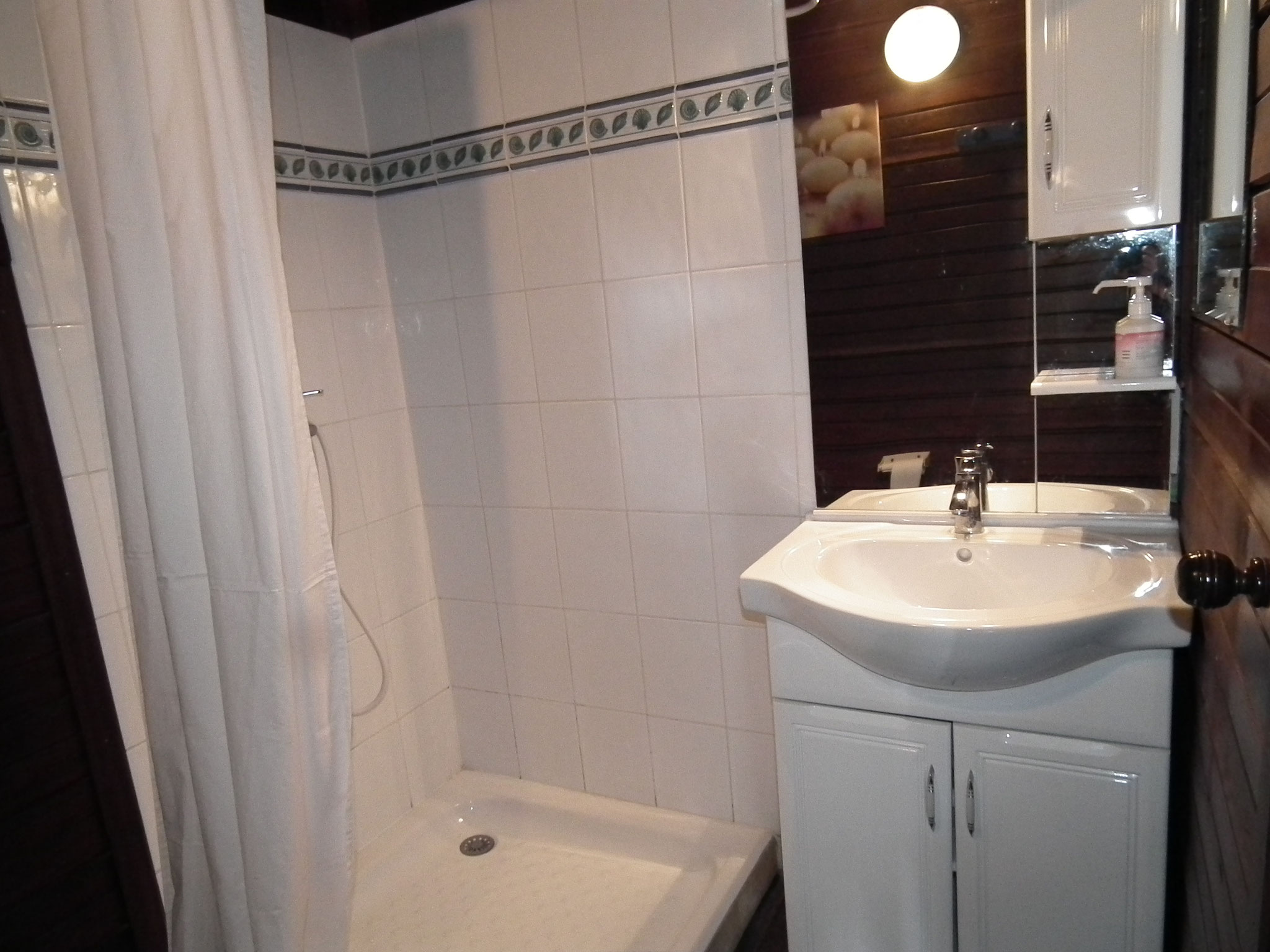 Bathroom with shower and vanity unit, Bungalow 3, furnished holiday bungalow Reunion Island