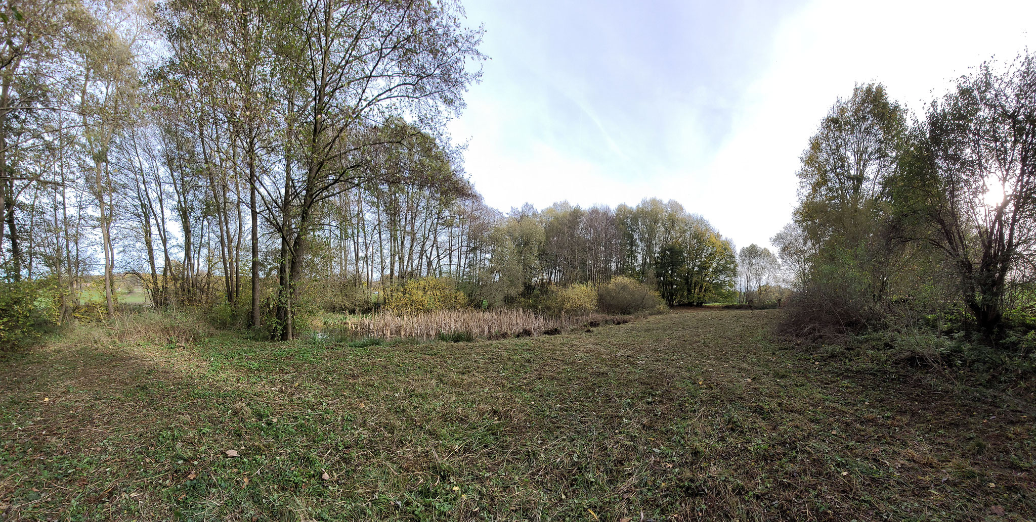 Foto: P. Kaiser, Panorama vom Eingang Richtung Teich