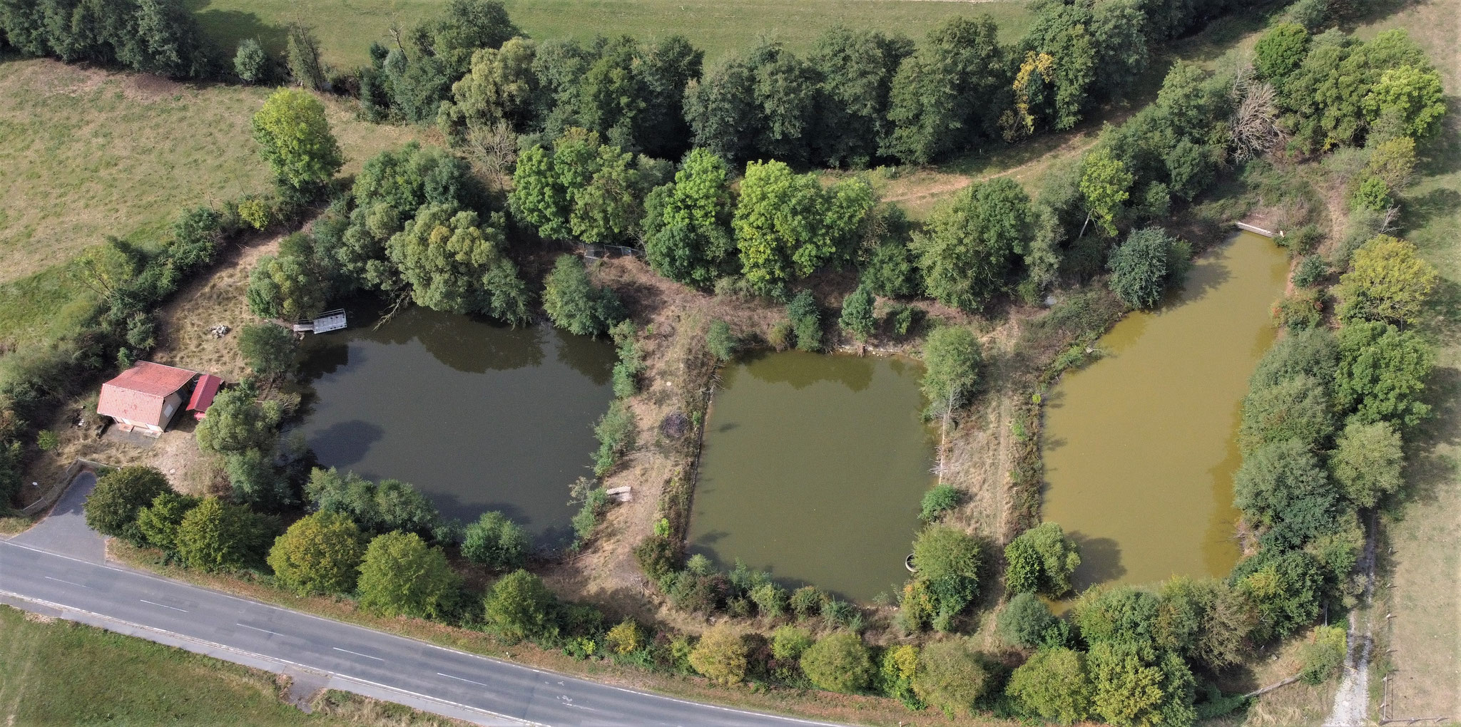 Foto: L. Herzig, die Ziegen sind da 