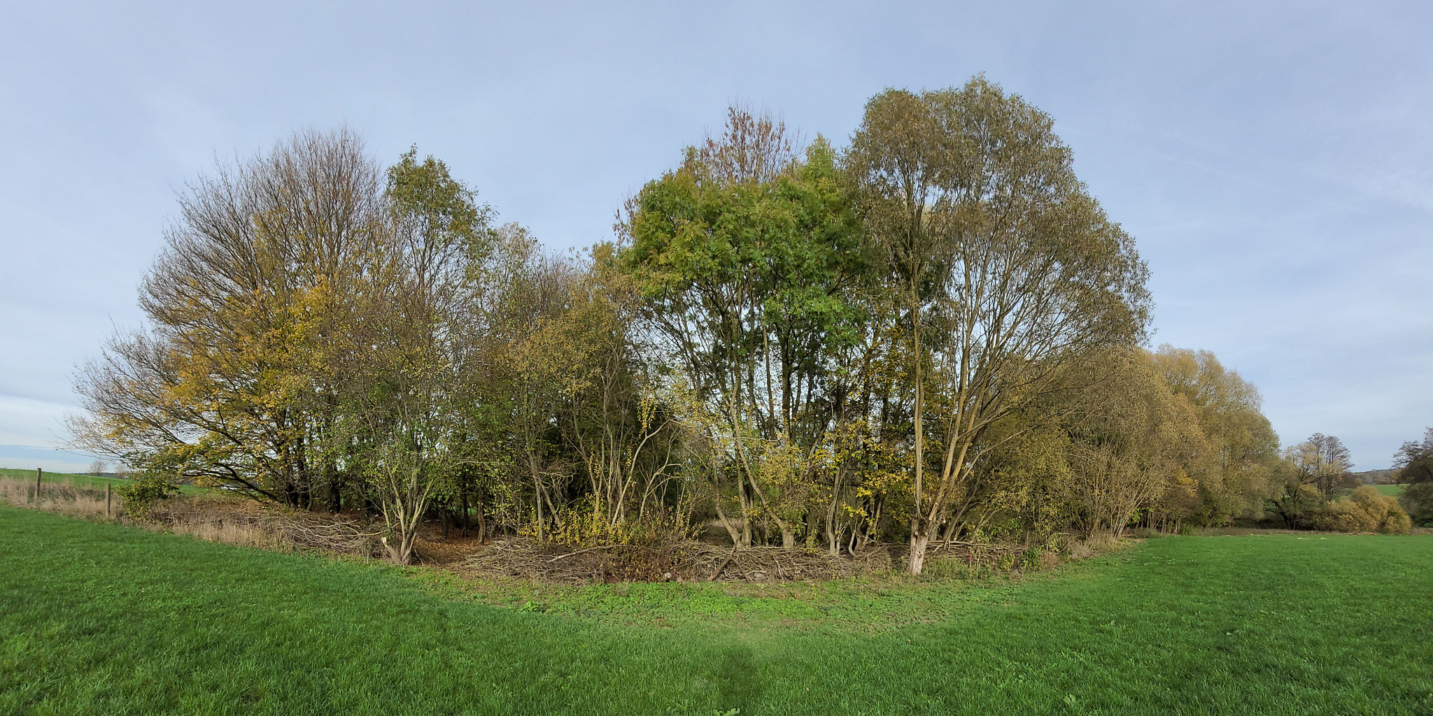Foto: P. Kaiser, Panorama von der Rückseite des Biotops mit den vielen Benjeshecken