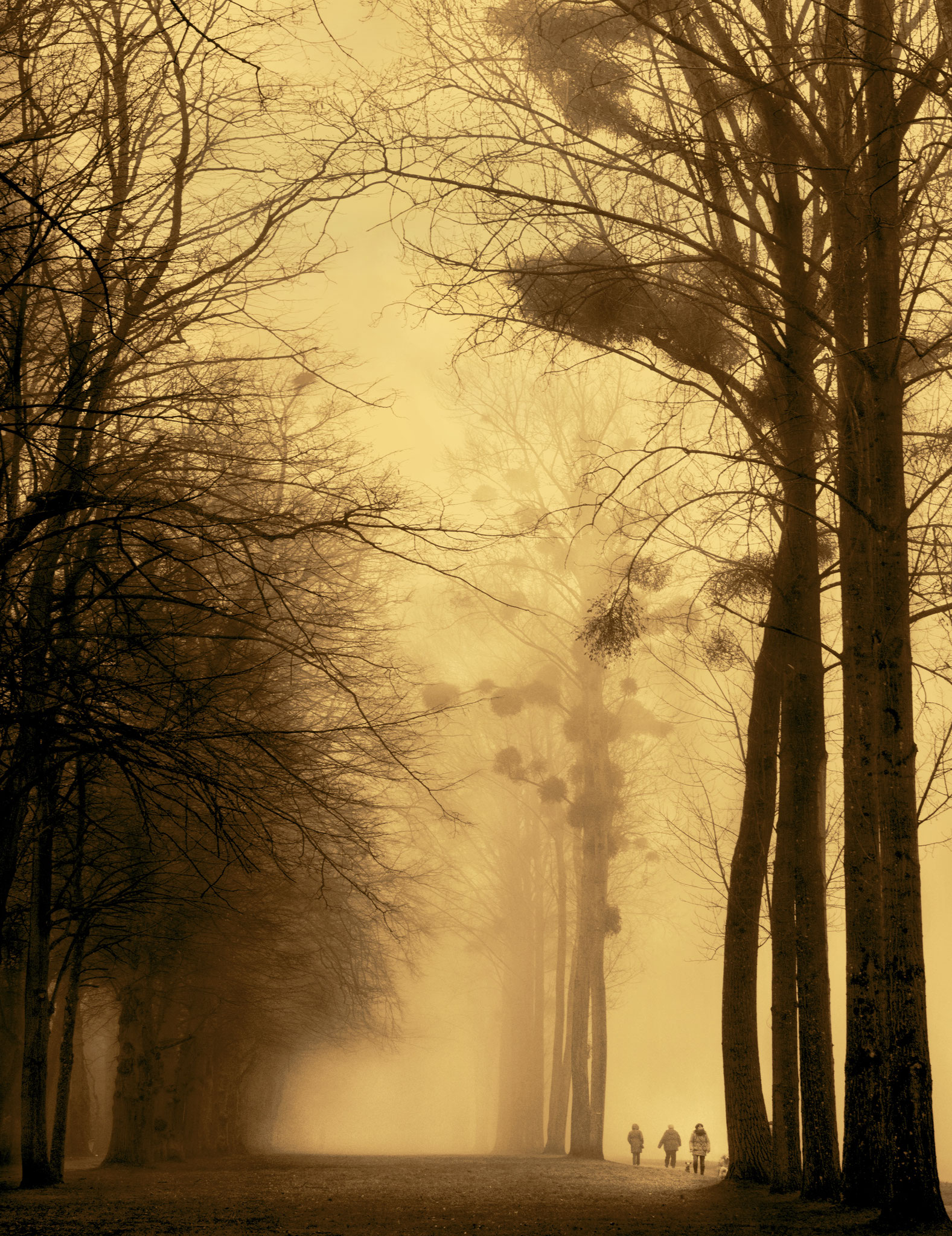 Promeneurs à rambouillet. Orotone 13 x 18 cm.