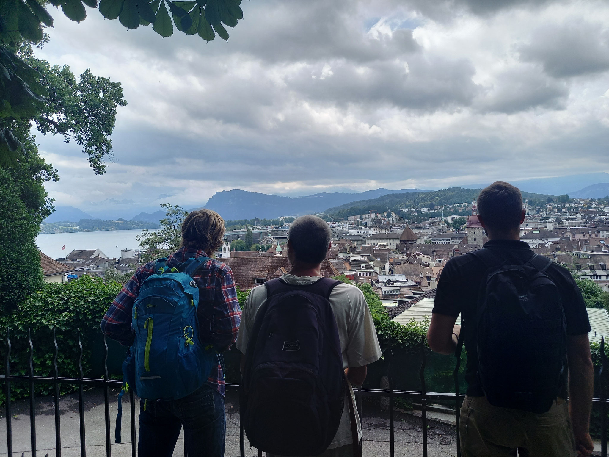 Sonstiges - Hermann Gartenbau / Gartenunterhalt Raum Basel