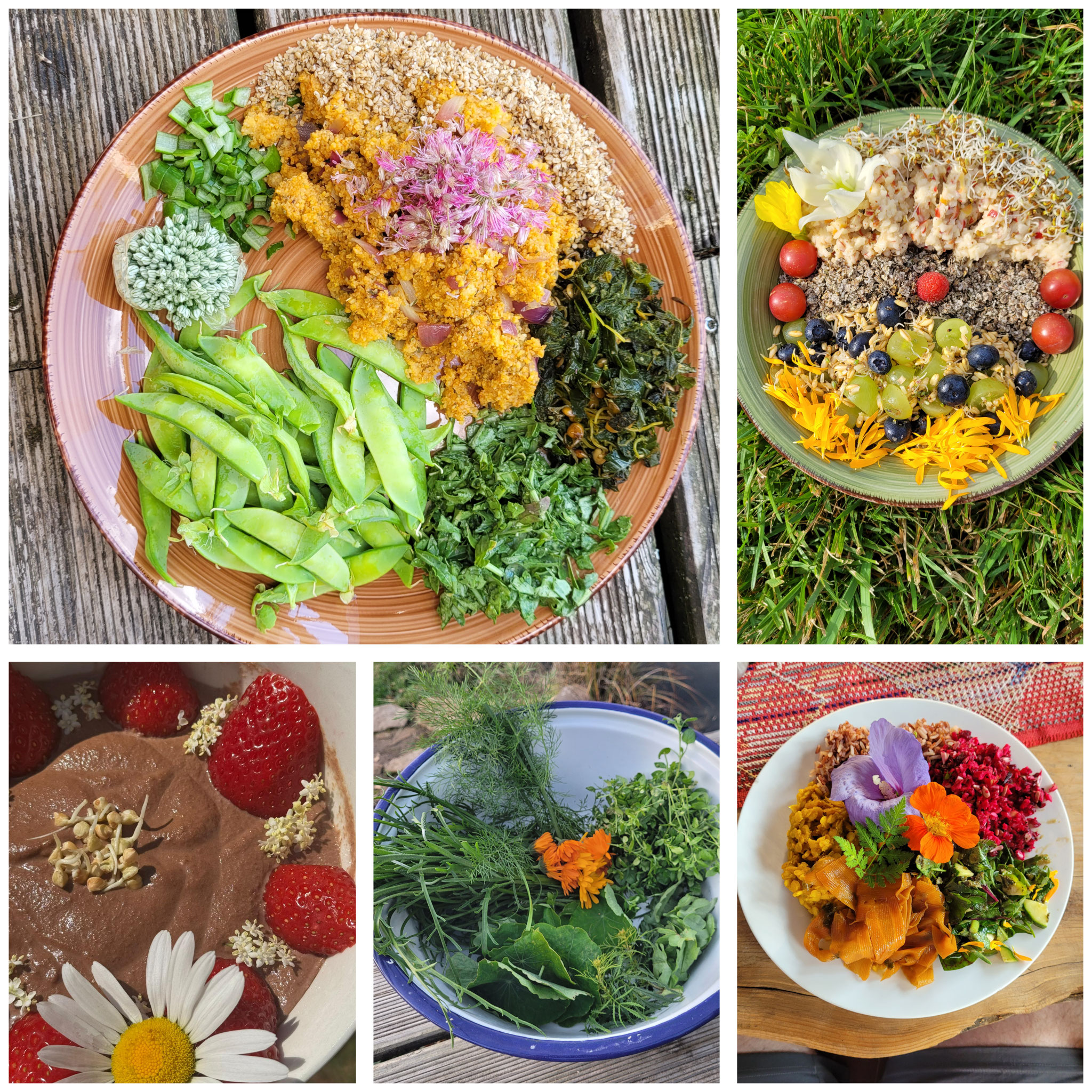 Rundum-Verwöhnung mit Vitalkost Kulinarik