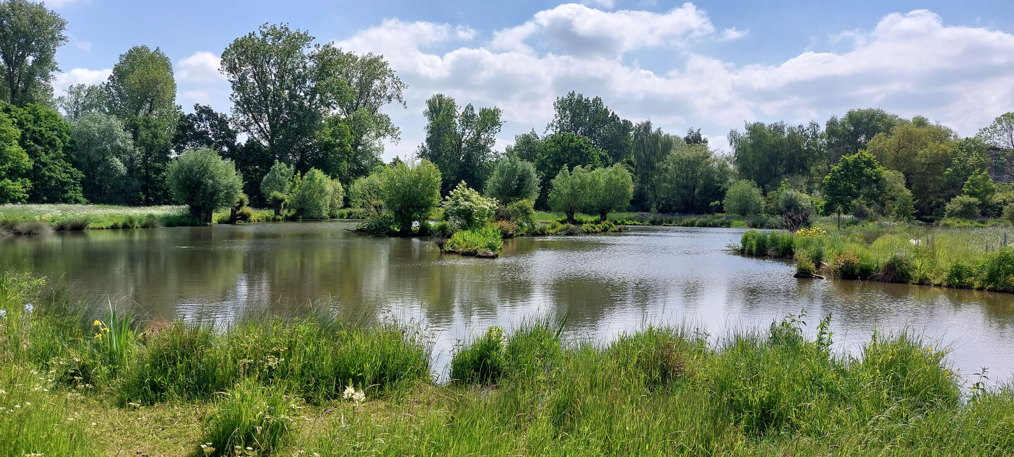 Auf der Insel Hombroich