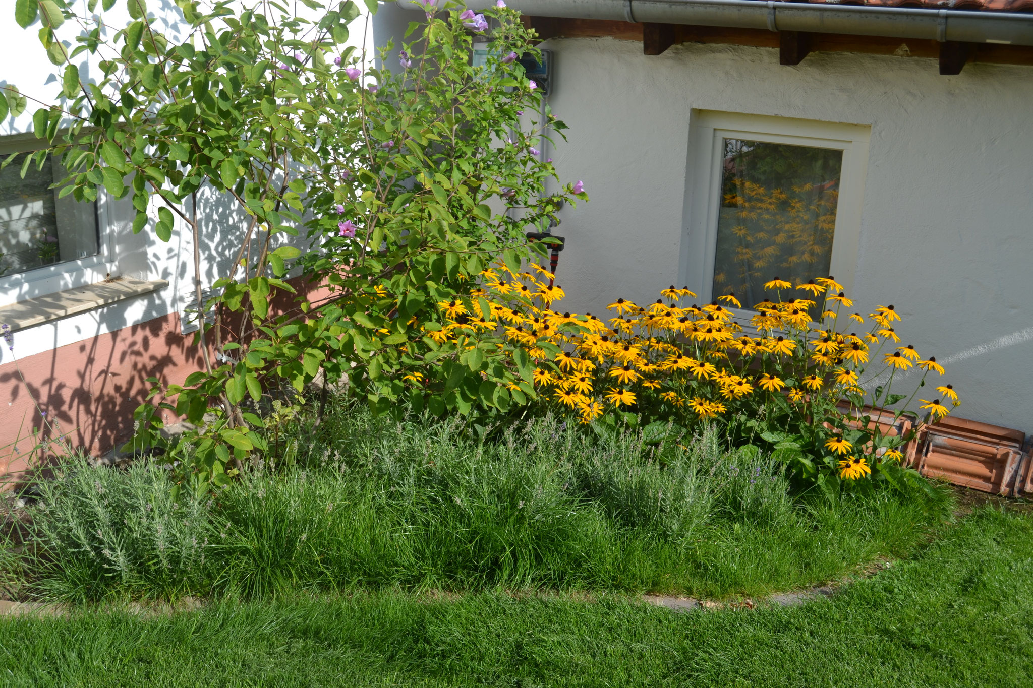 Blick in den Garten