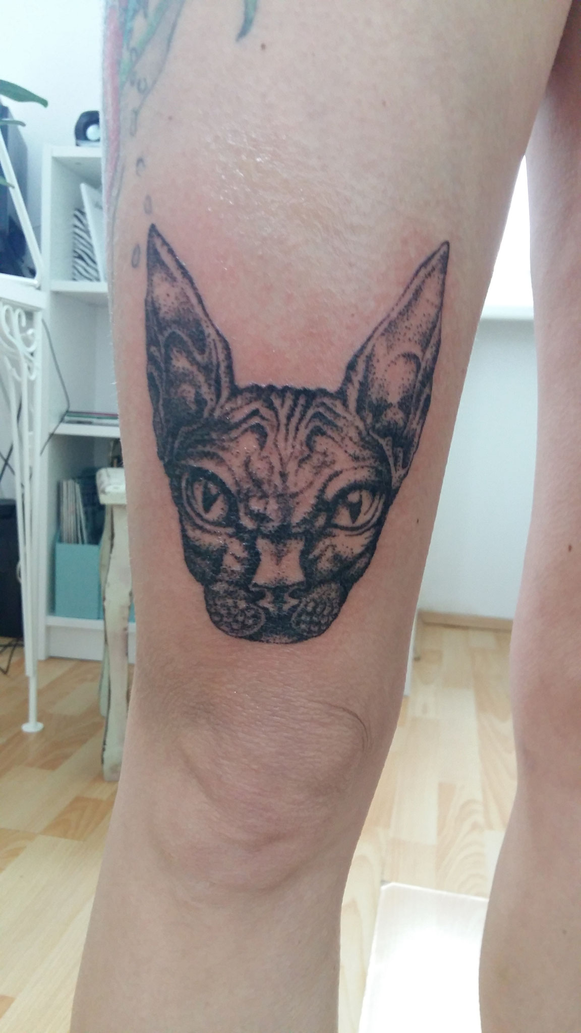 Dotwork Tattoo Handwerk