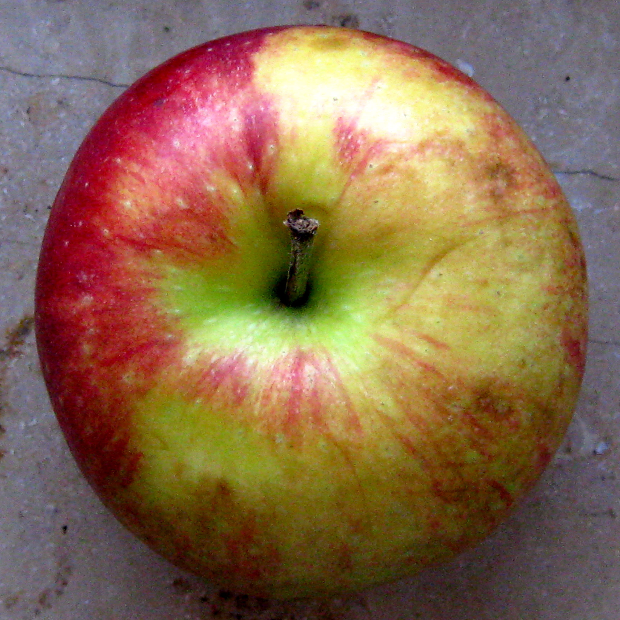 Apfel