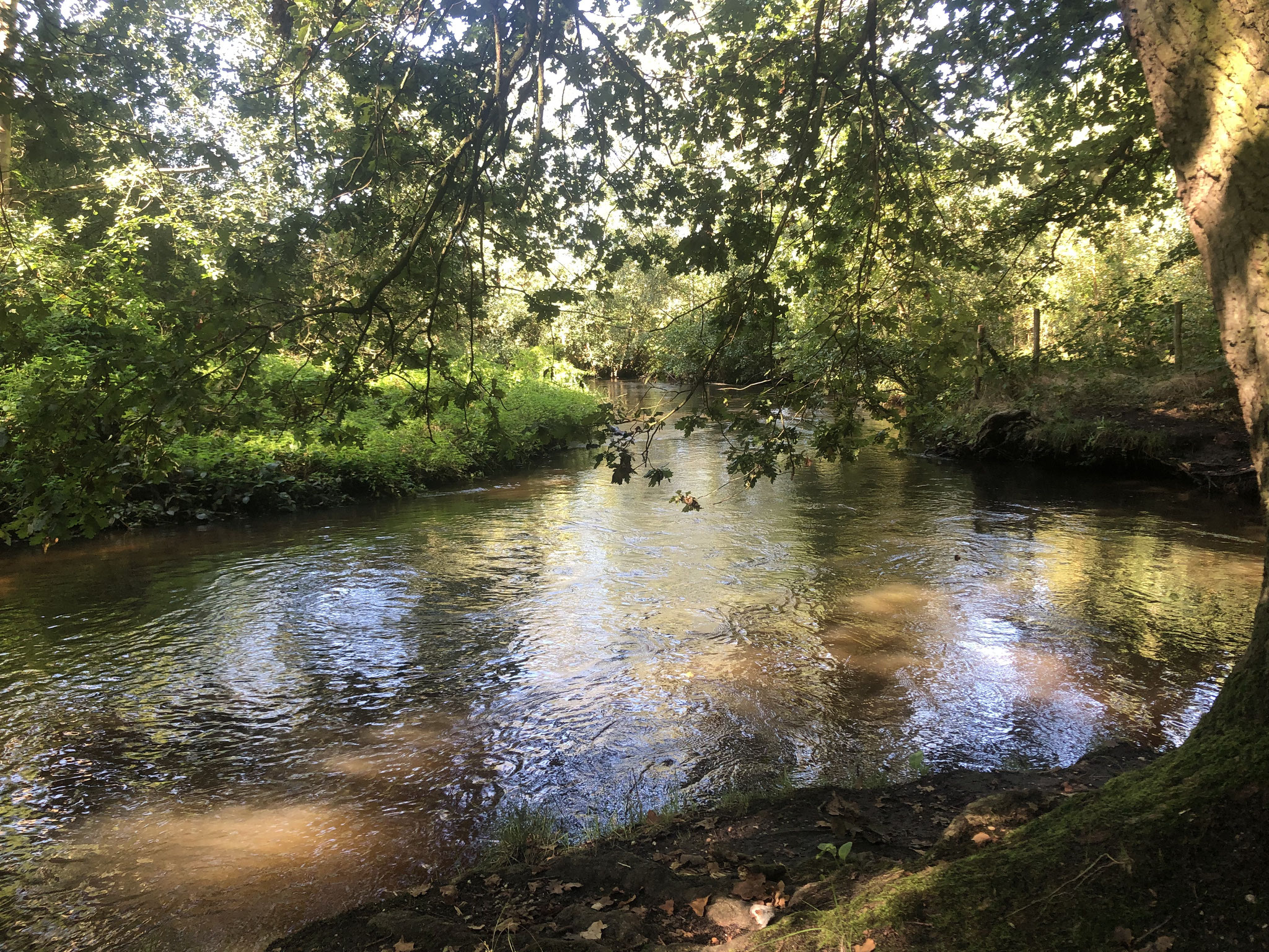 De Swalm bij Swalmen De website van robdirksen!