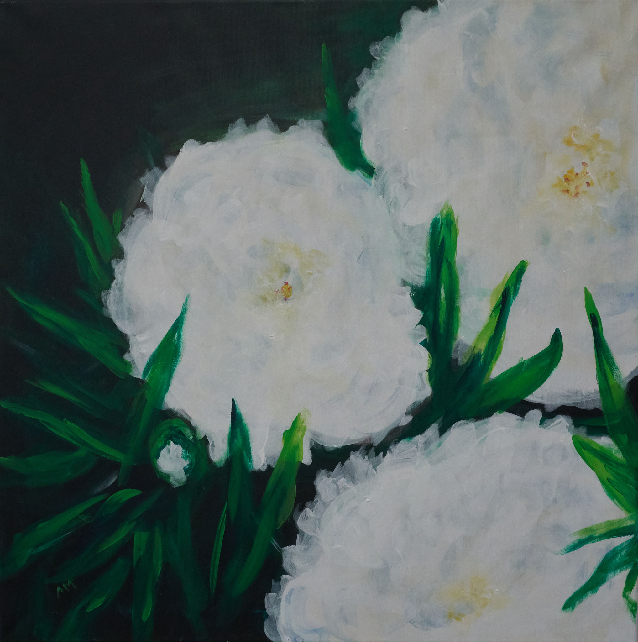 Paeonien 80x80