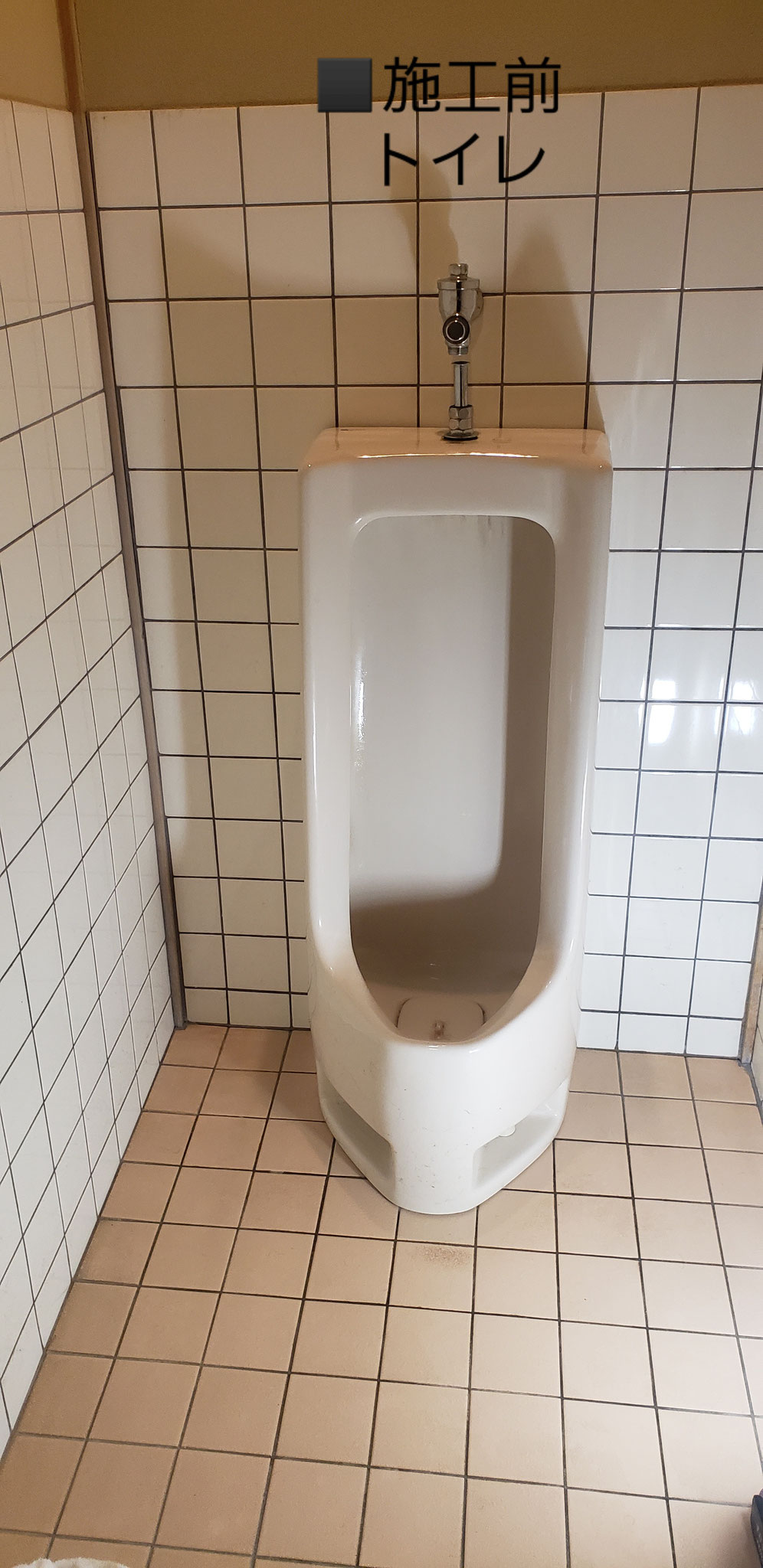 施工前　1室：洋風洗浄便器＋小便器男子用