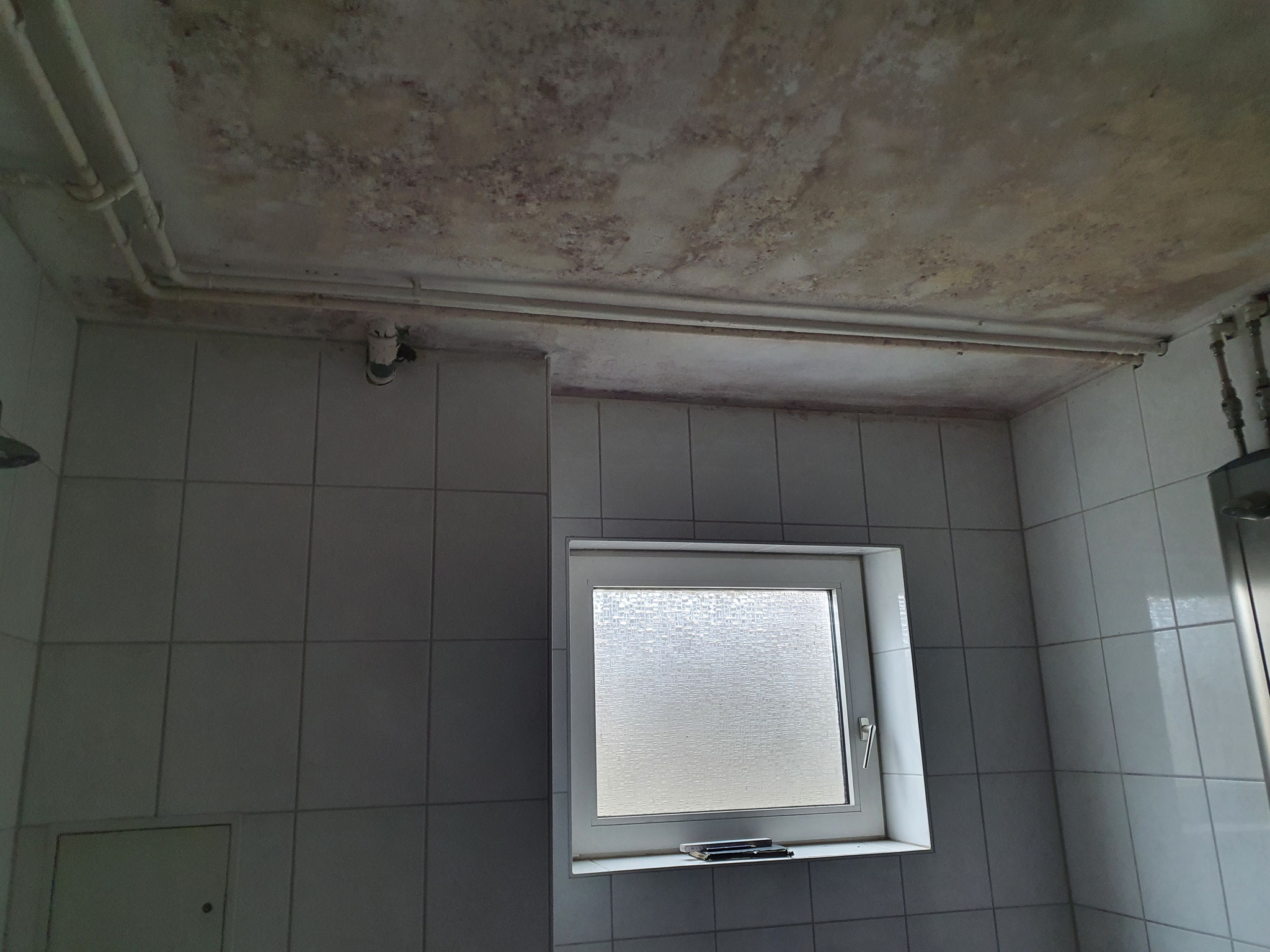 Gästekabine vor Sanierung
