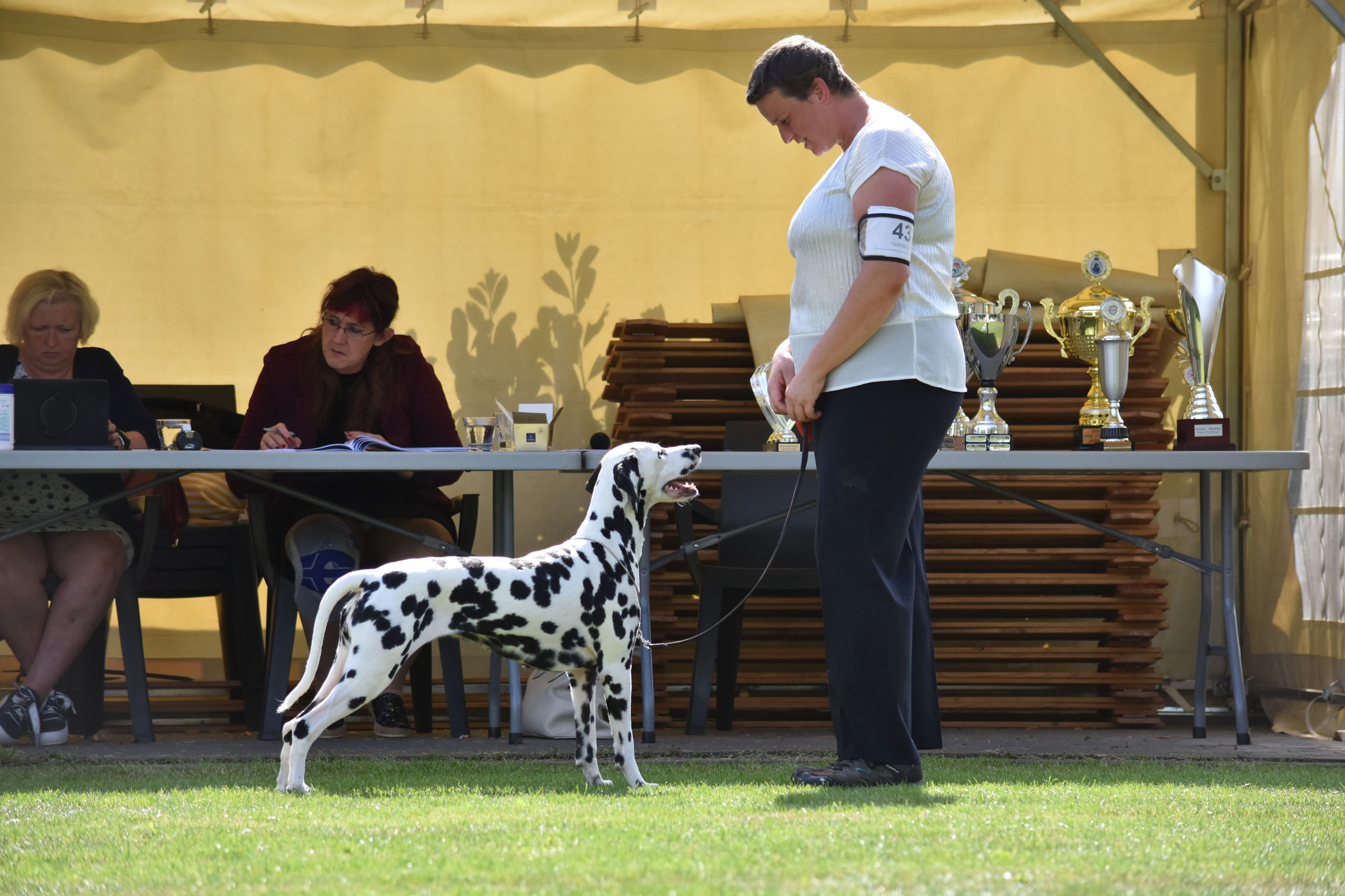 A Spottified Quest For La Dolce Vita, 13 months, Bonheiden KBCDH 2018