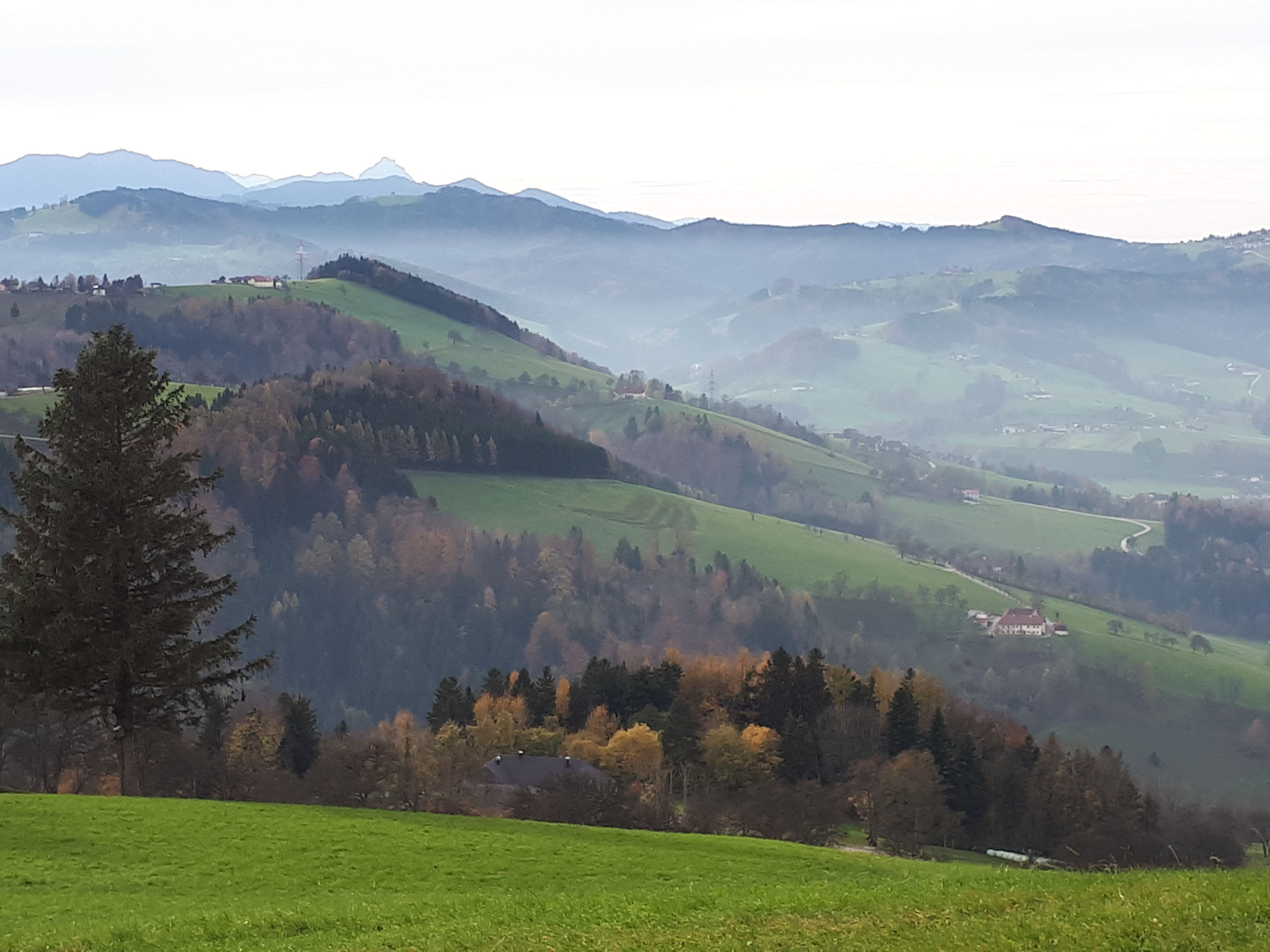 Franz Wittinghofer - "Herbst" - 16 Pkt.