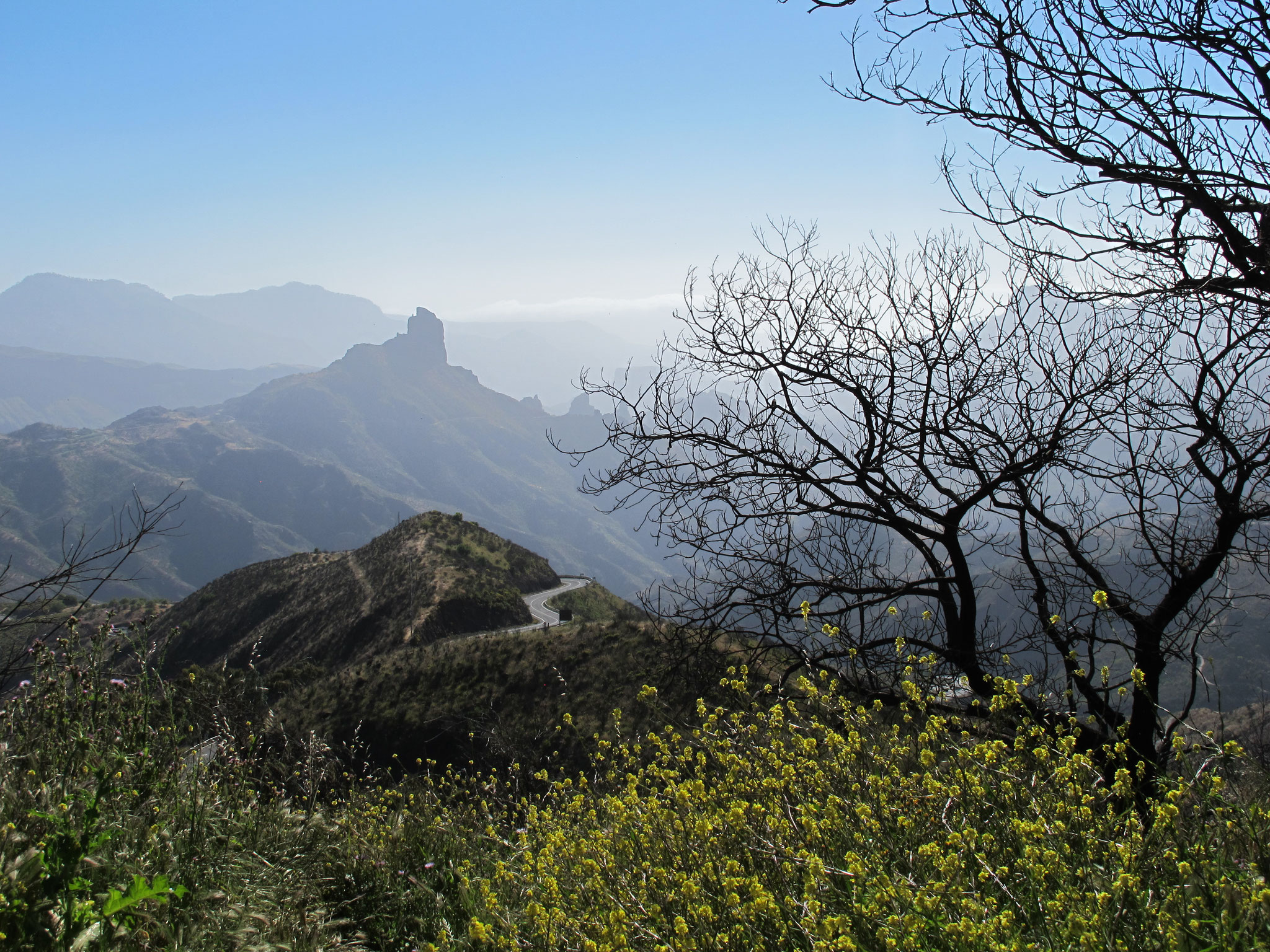 Dr. Andrea Euler - "Gran Canaria" - 20 Pkt. - 4. Platz EW.