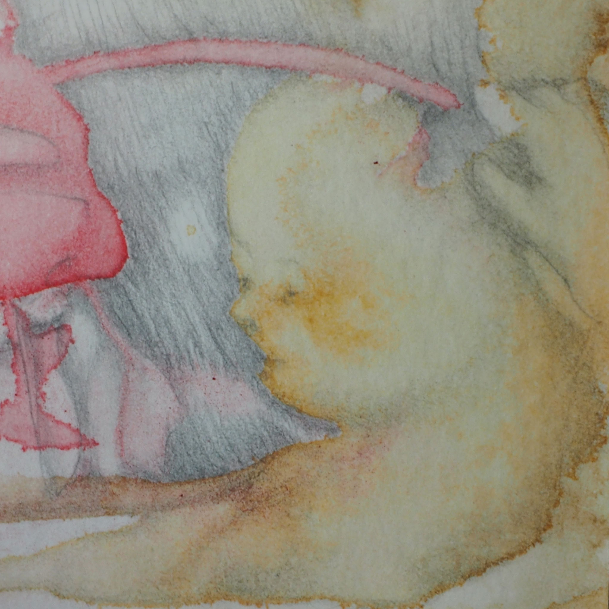 Figure Dénaturée détail