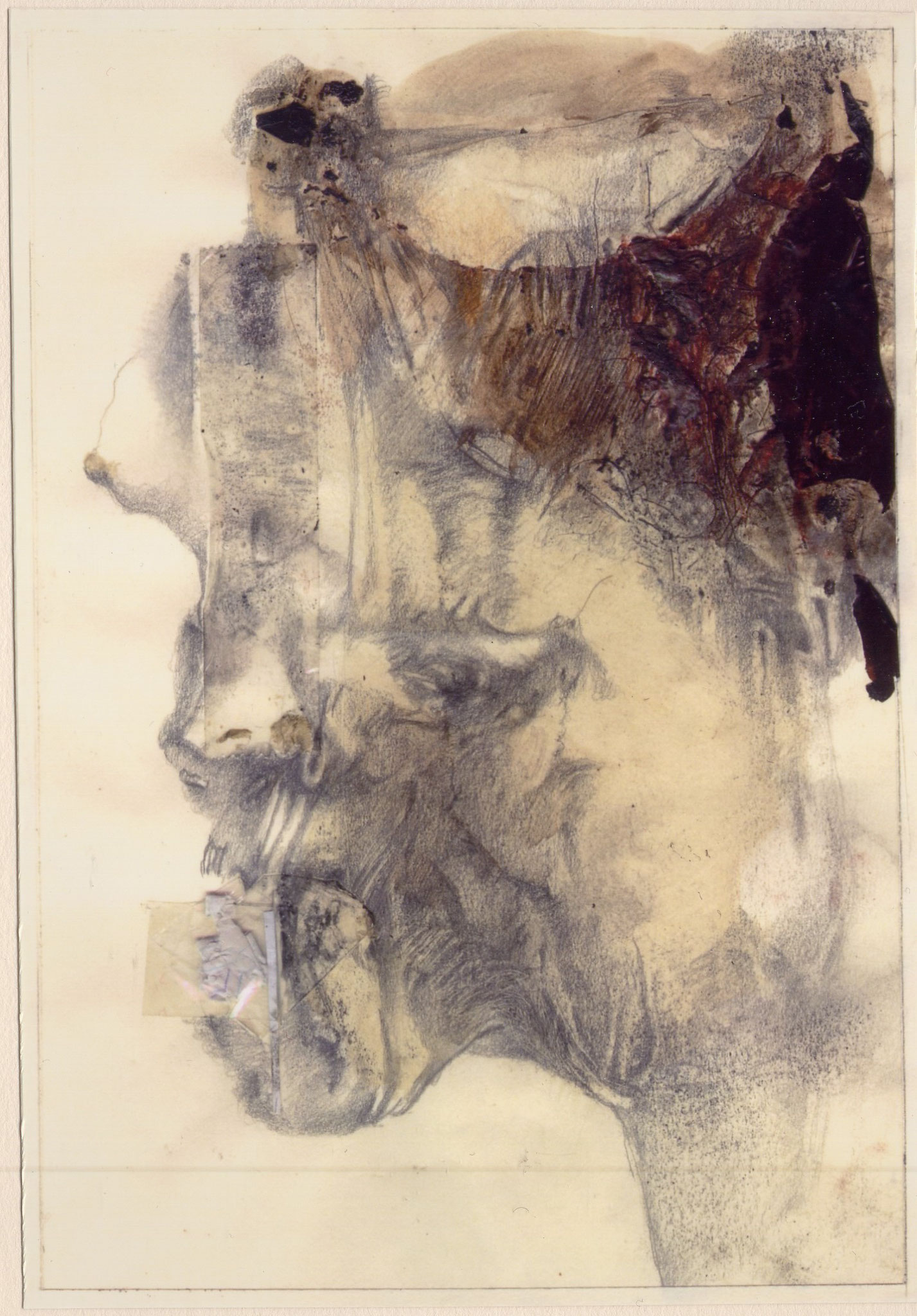 Corps du visage - planche 1 - 2002 - voir Oeuvres & Gloses dans Galerie