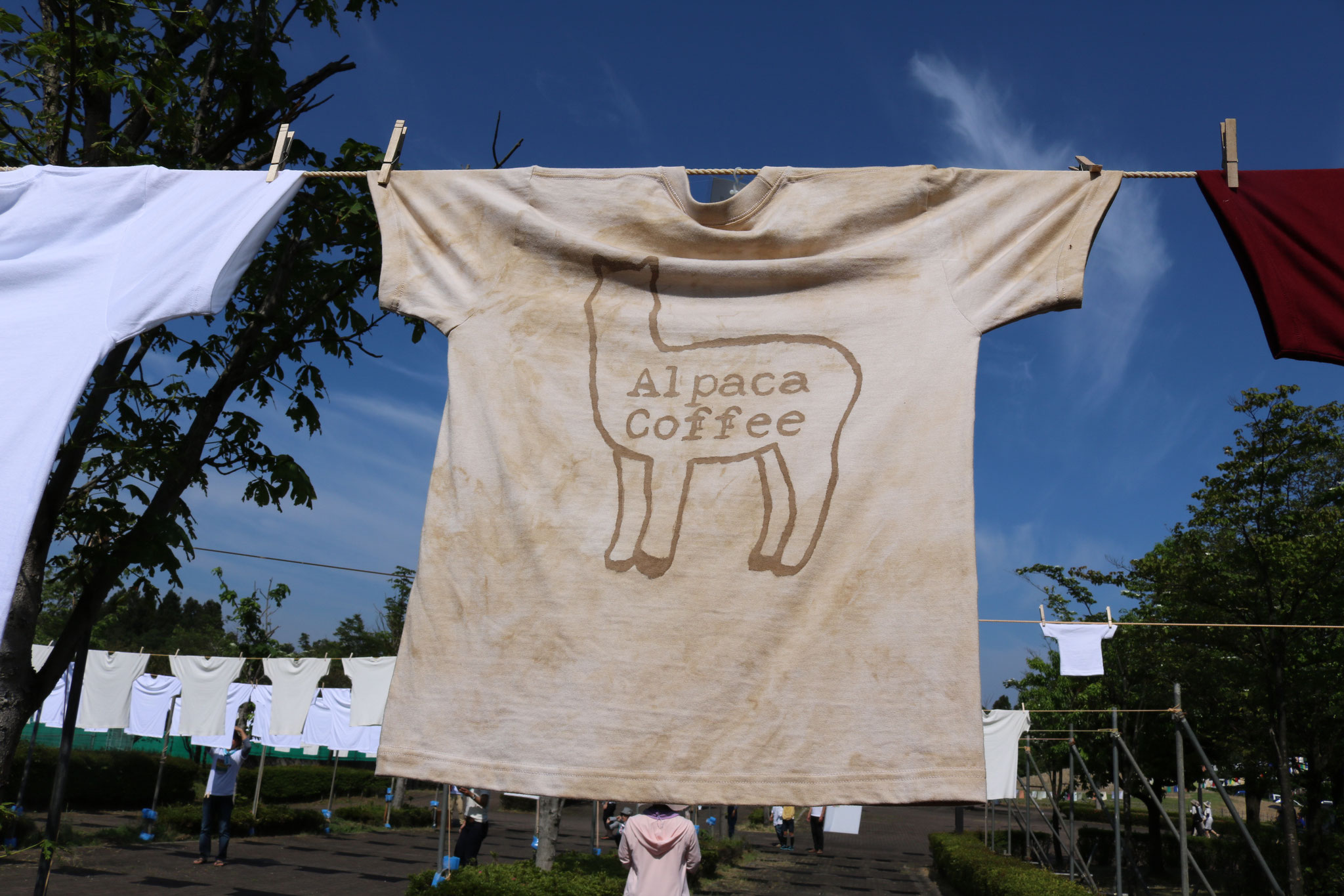 Alpaca Coffee さま